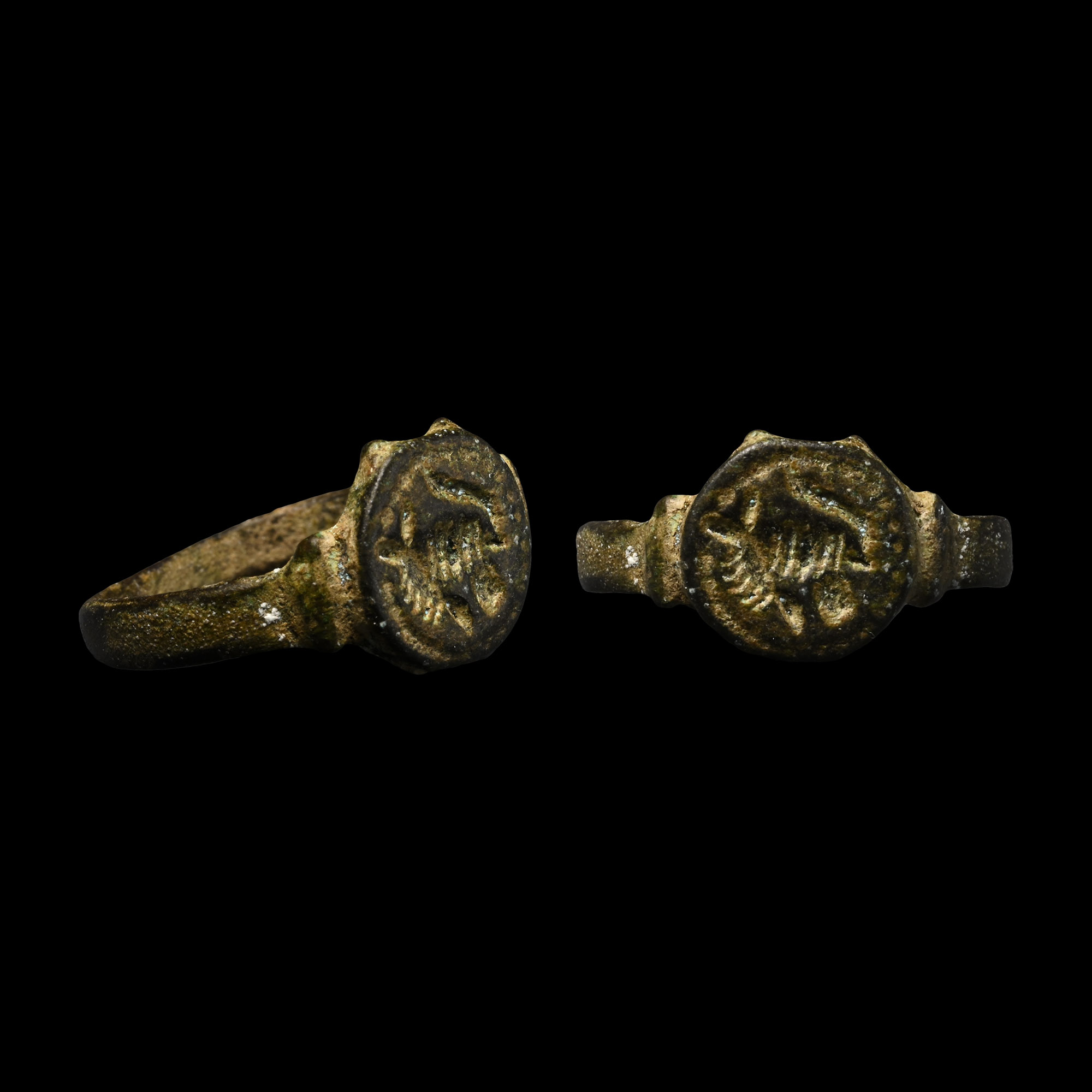 Merovingian Bronze Ring with Boar's Head