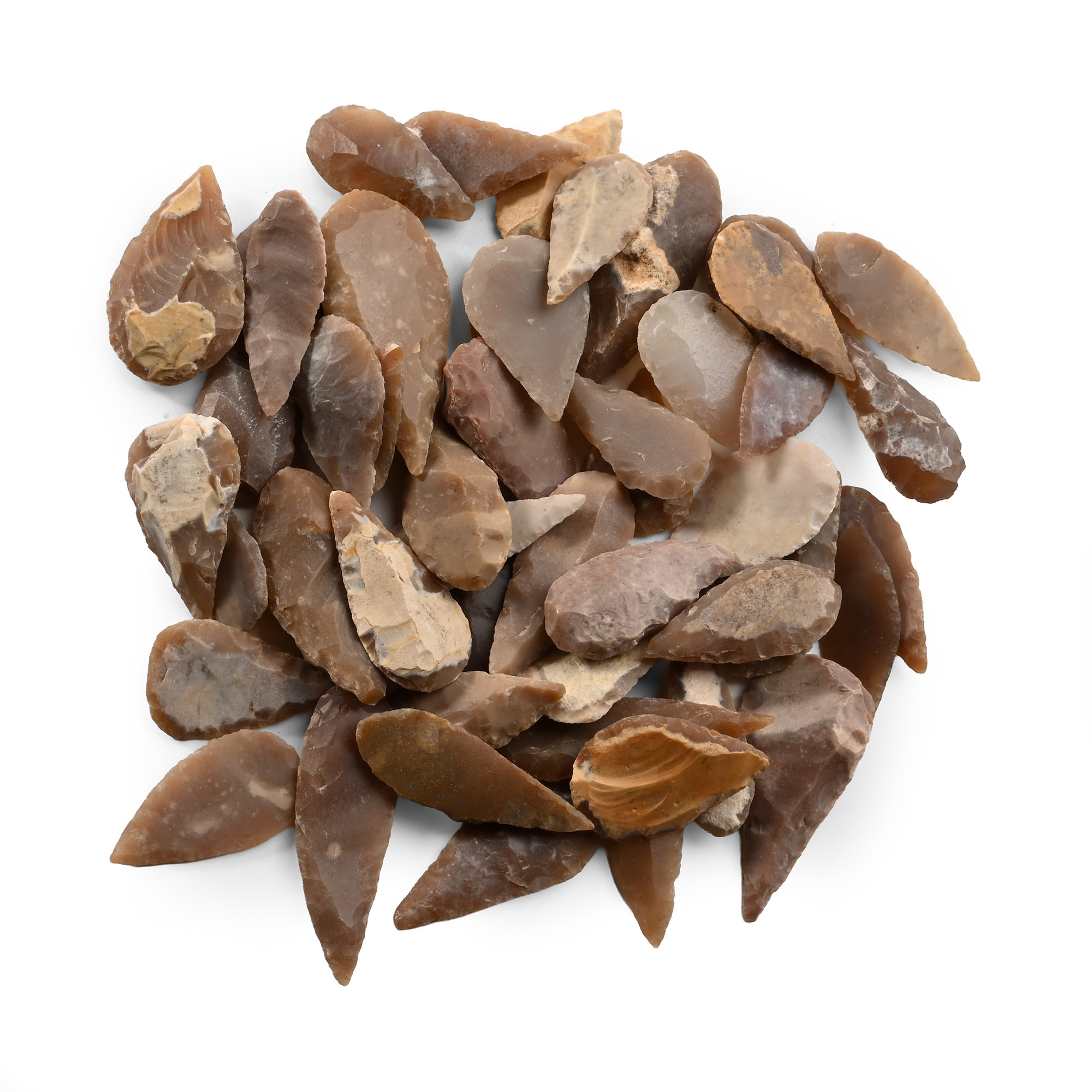 Stone Age Leaf-Shaped Arrowhead Collection