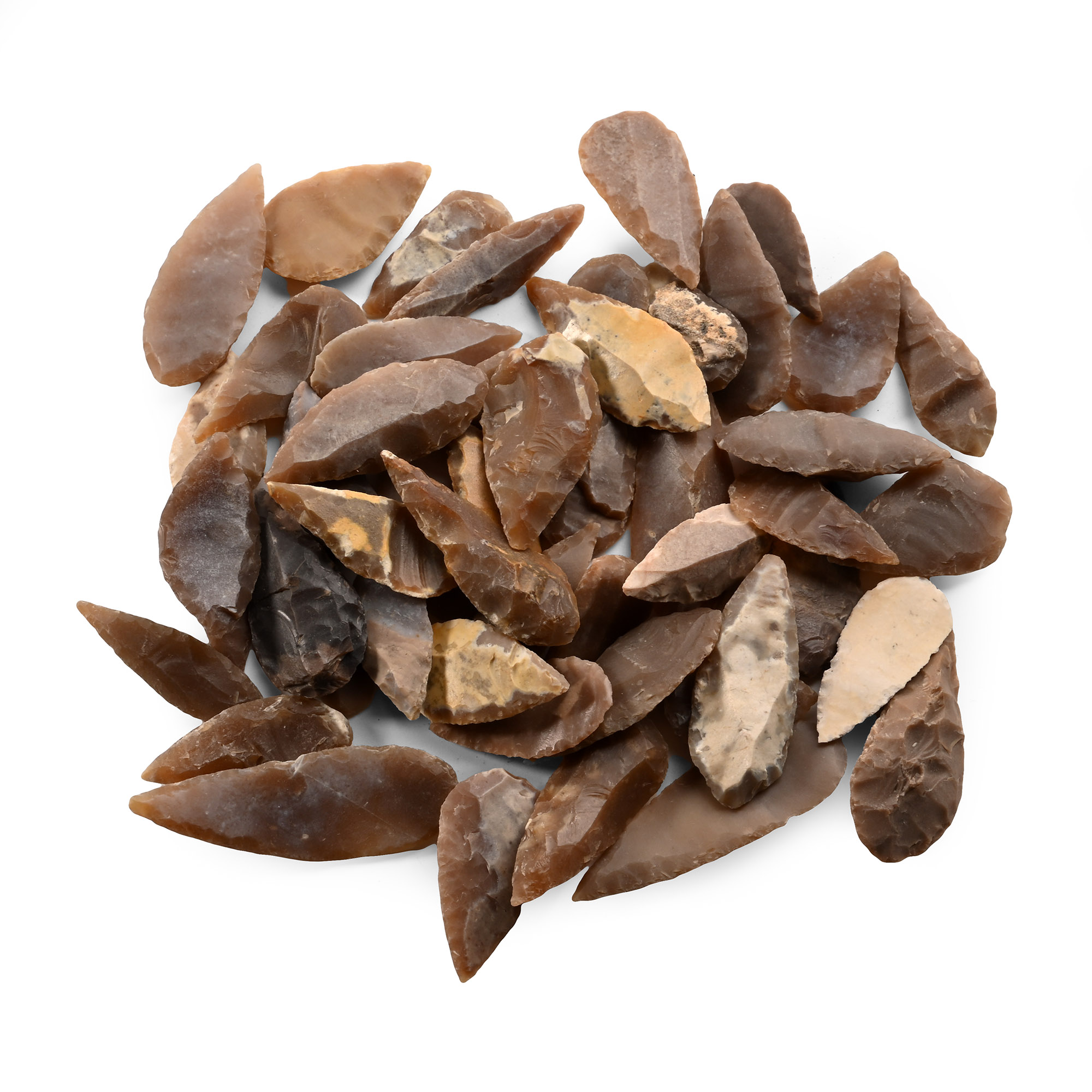 Stone Age Leaf-Shaped Arrowhead Collection