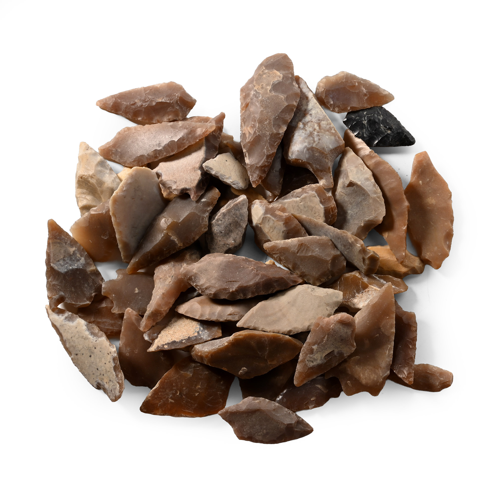 Stone Age Barbed and Tanged Arrowhead Collection