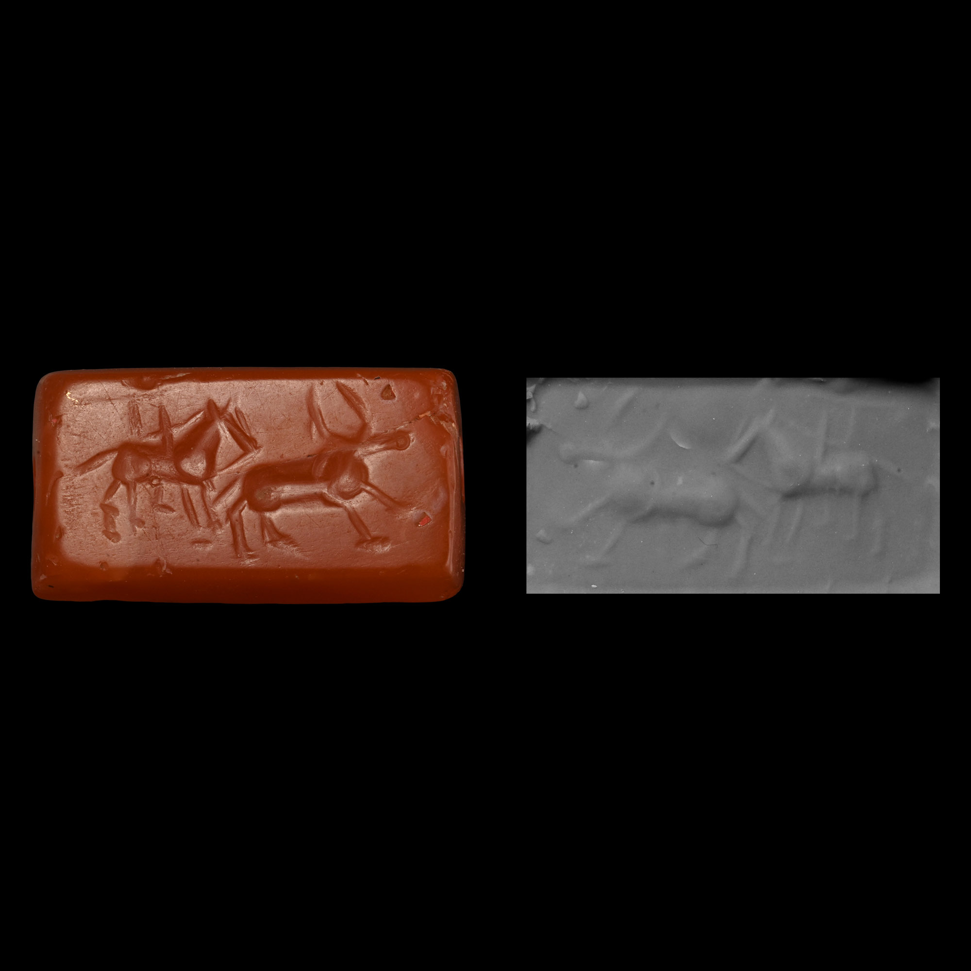 Western Asiatic Carnelian Scaraboid Seal with Bull