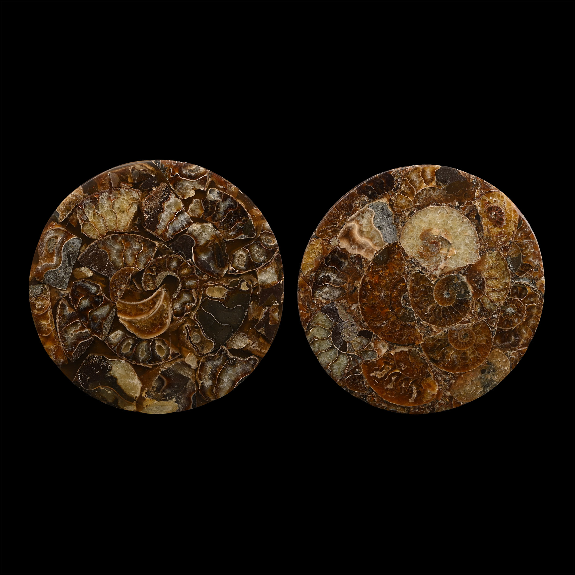 Polished Ammonite Coaster Pair