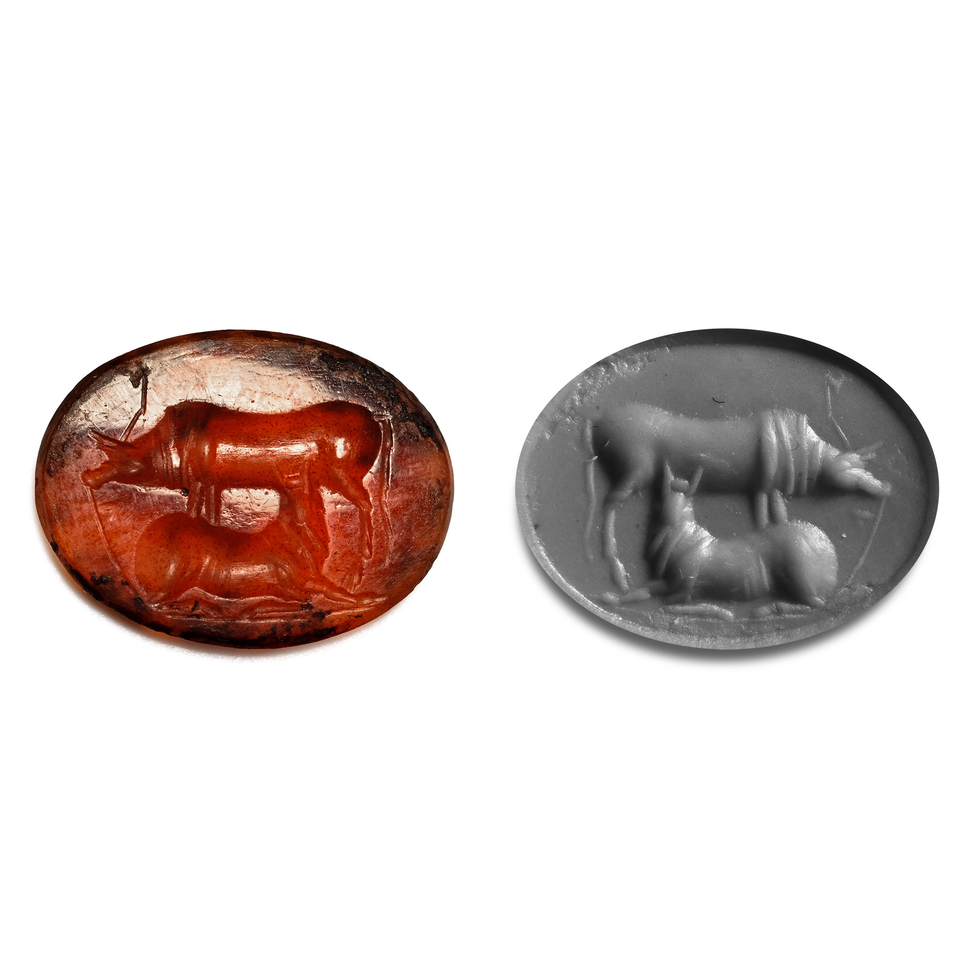 Roman Carnelian Gemstone with Two Cows