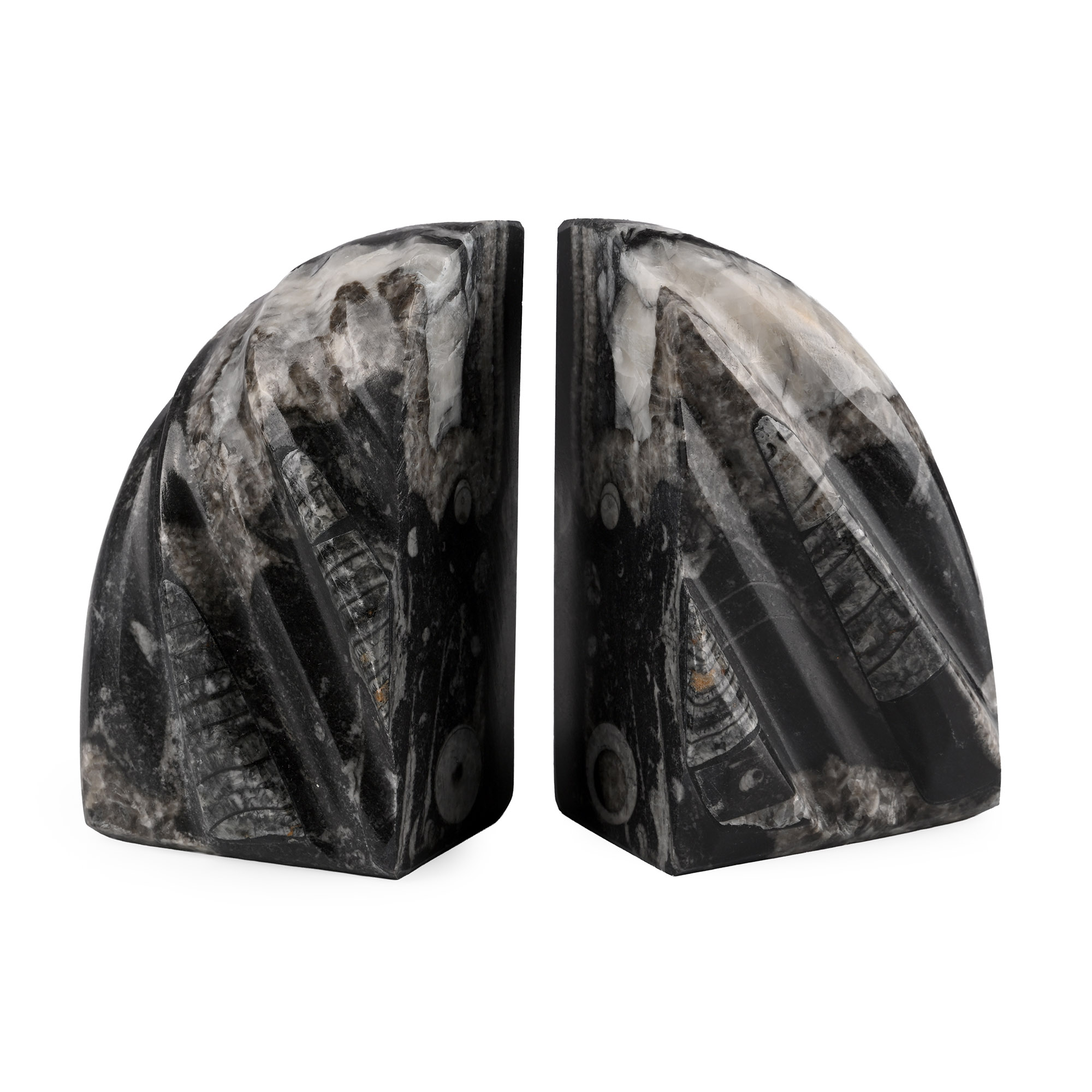 Polished Fossil Orthoceras Bookend Pair