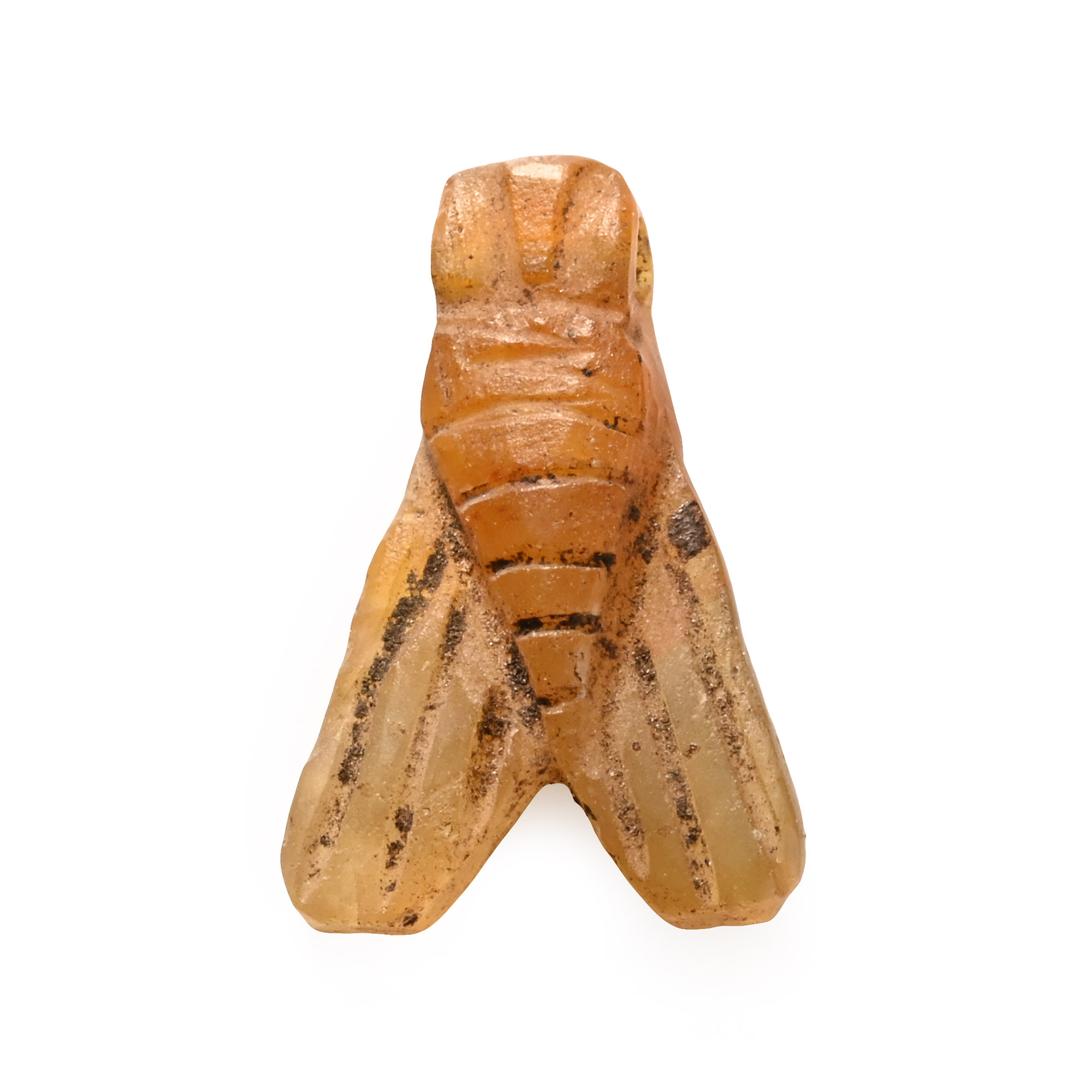 An Egyptian fly amulet carved in honey-coloured carnelian, wings detailed, with a suspension loop