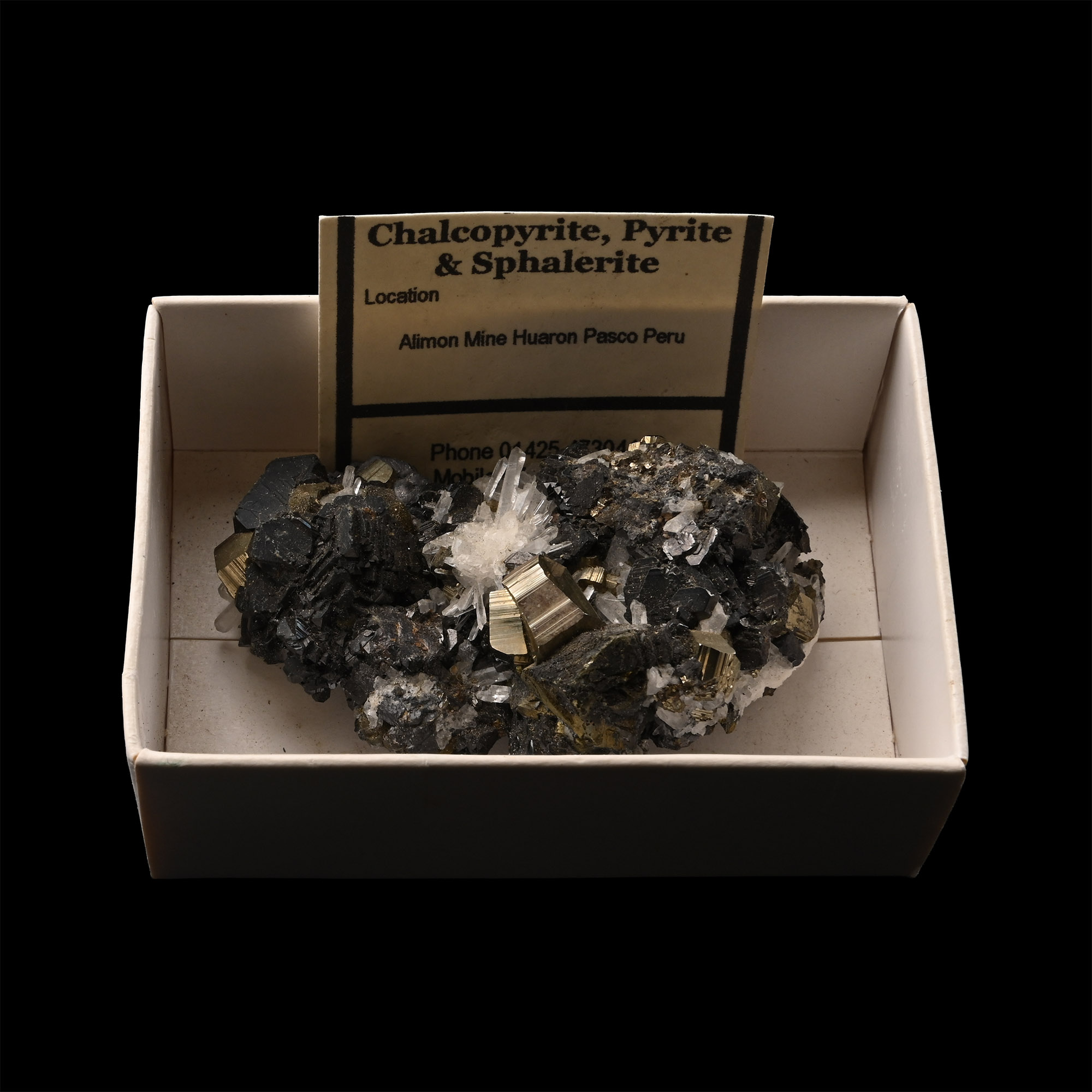 Chalcopyrite, Pyrite and Sphalerite Crystal Mineral Specimen