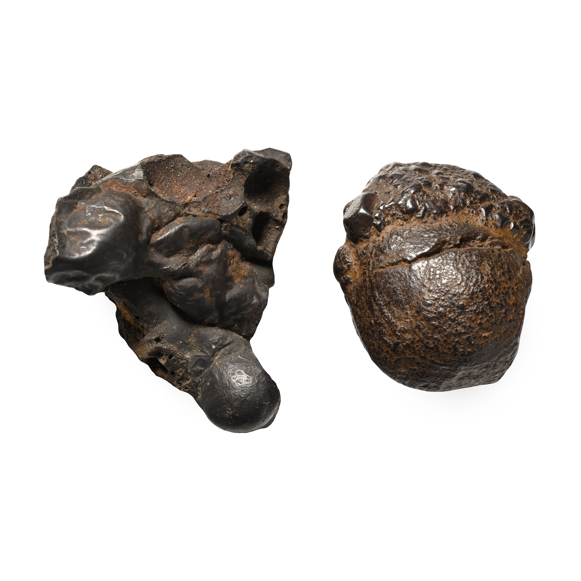 Asian Chondrite Meteorite Collection