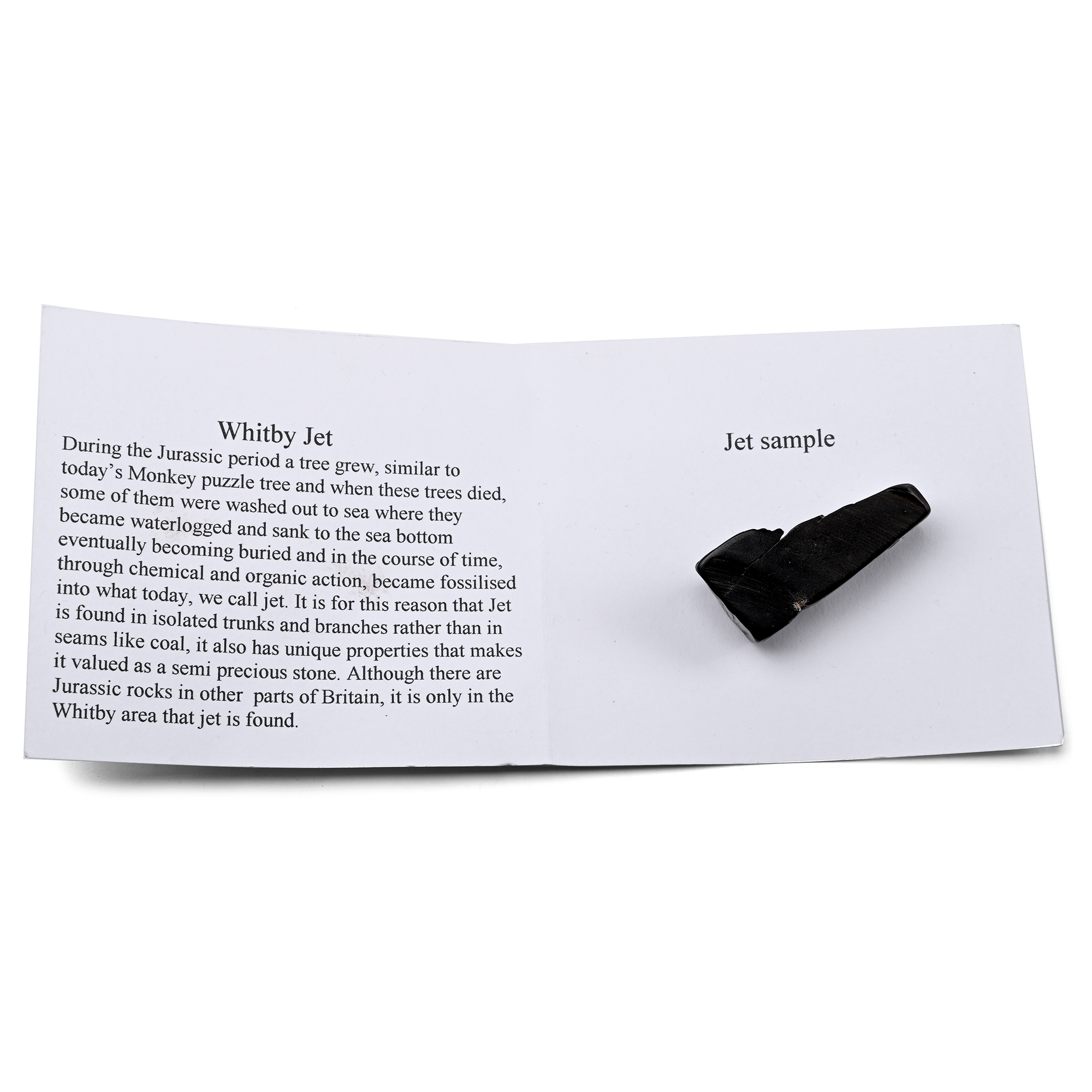 Whitby Jet Sample with Printed Information Card