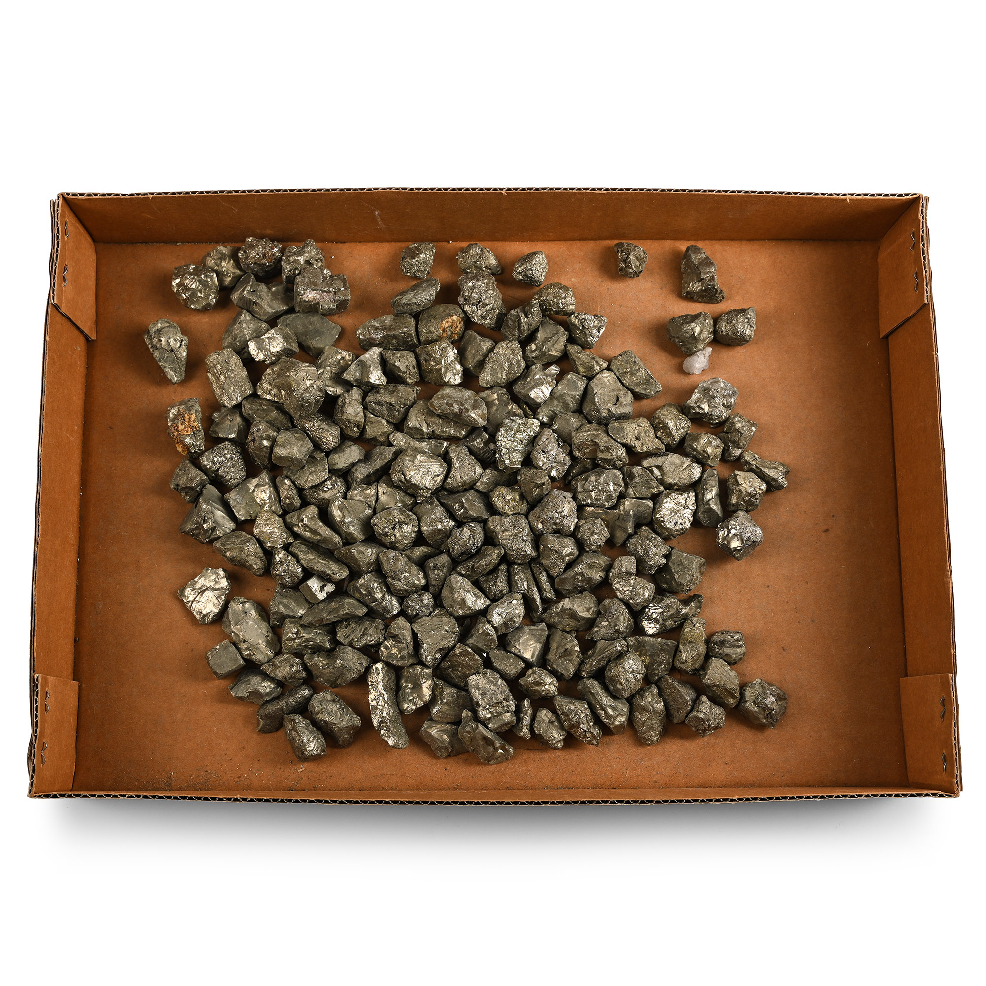 Large Group of Pyrite 'Fool's Gold' Mineral Specimens