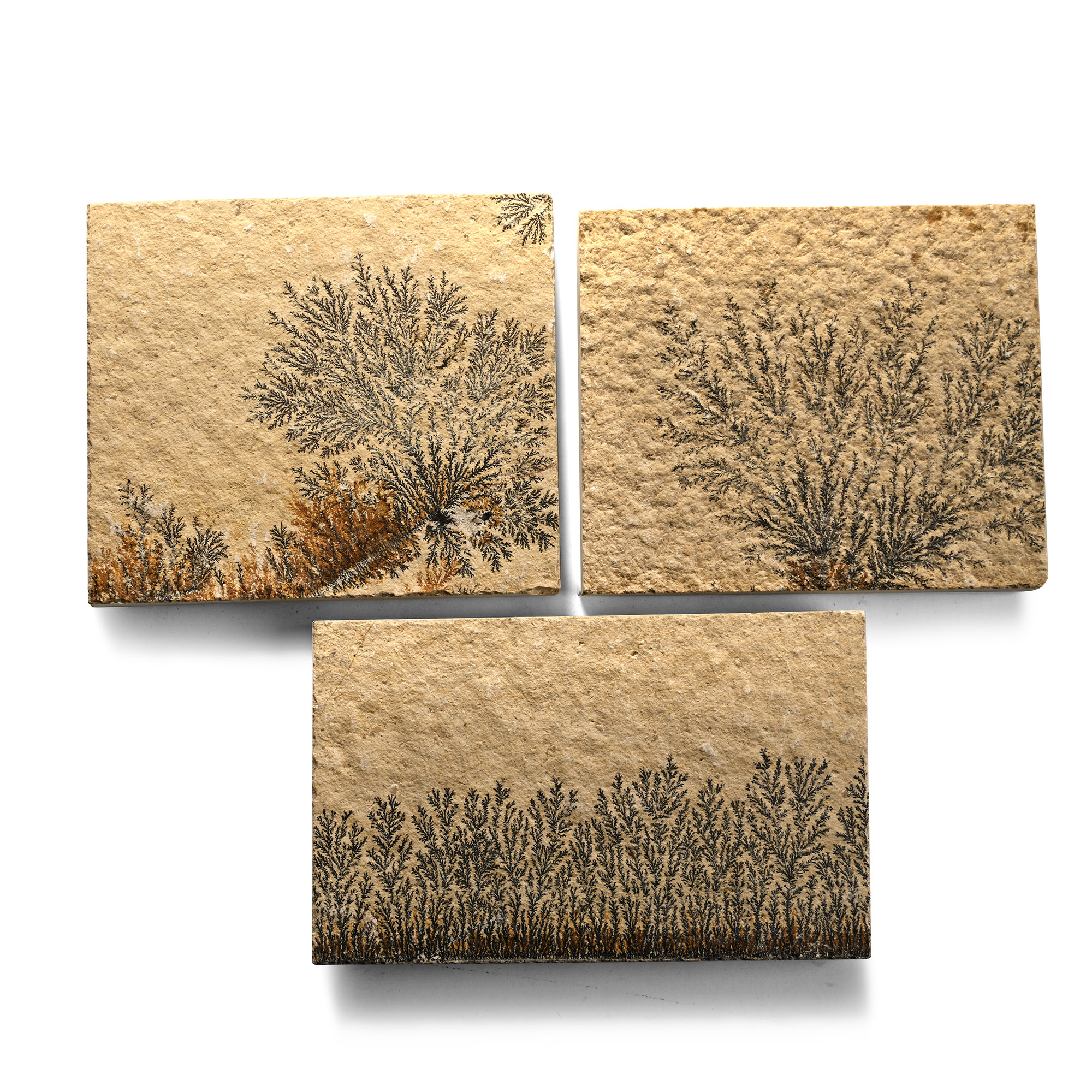 Manganese Dendrite Landscape Plaque Collection