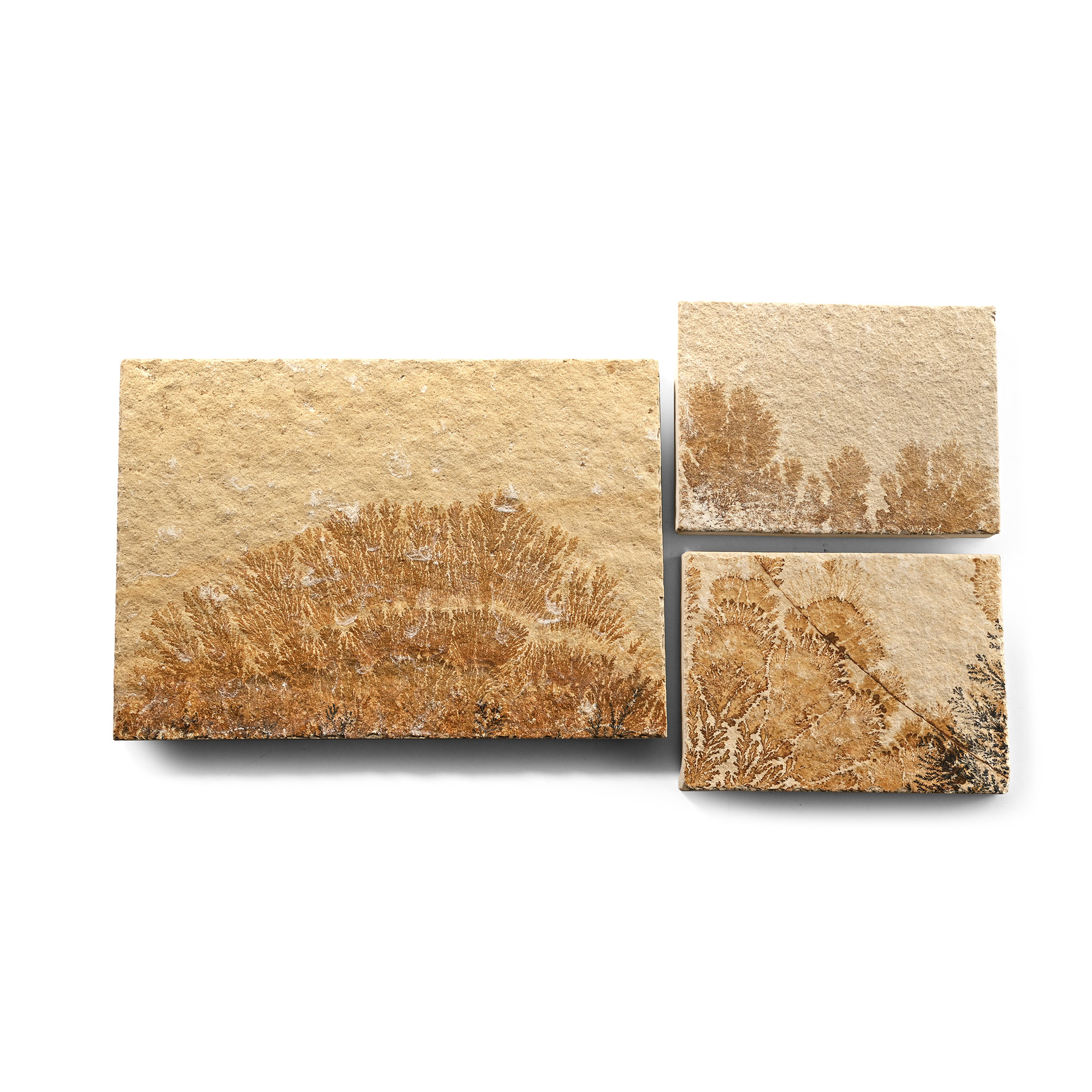 Manganese Dendrite Landscape Plaque Group