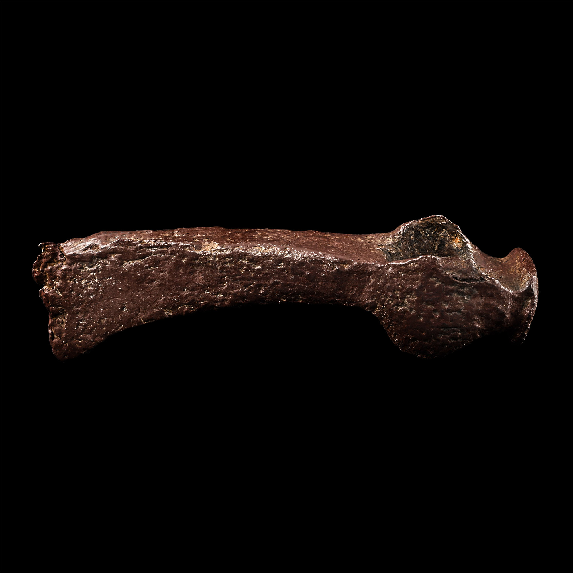 Viking Long-Cheeked Iron Axehead