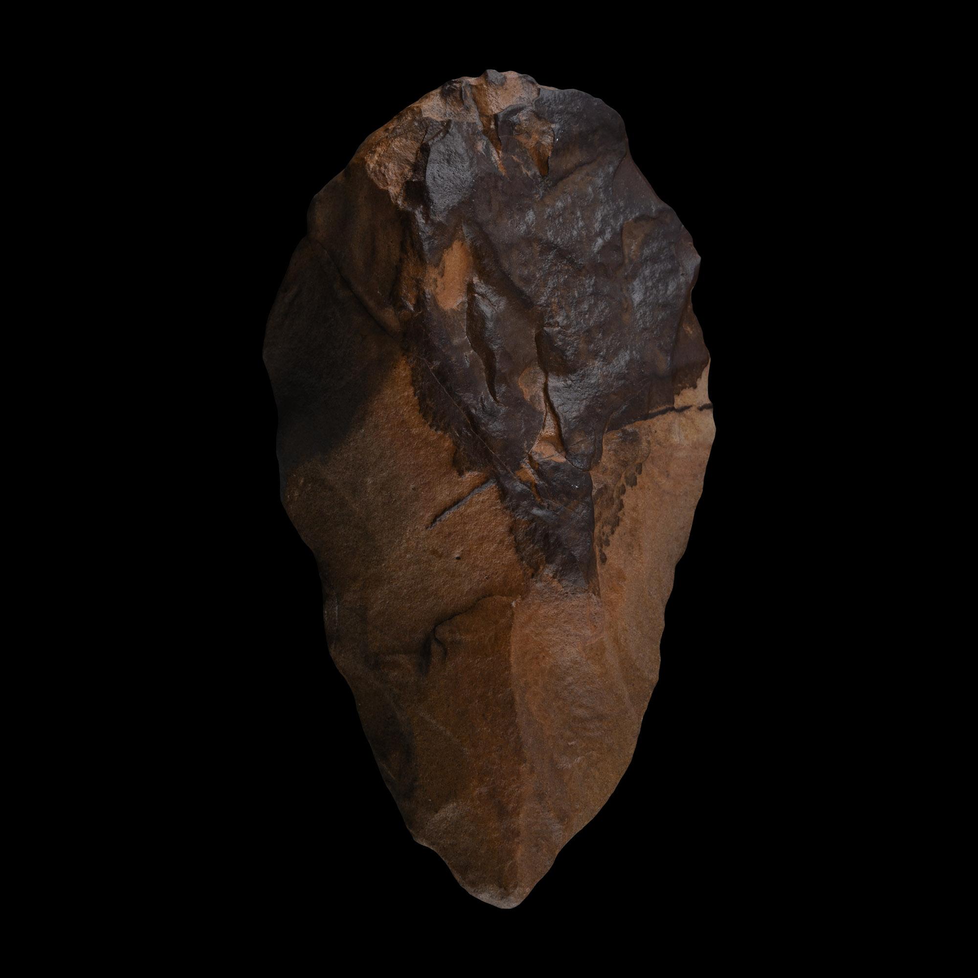 Large Stone Age Quartzite Pointed Handaxe Made by Homo Erectus