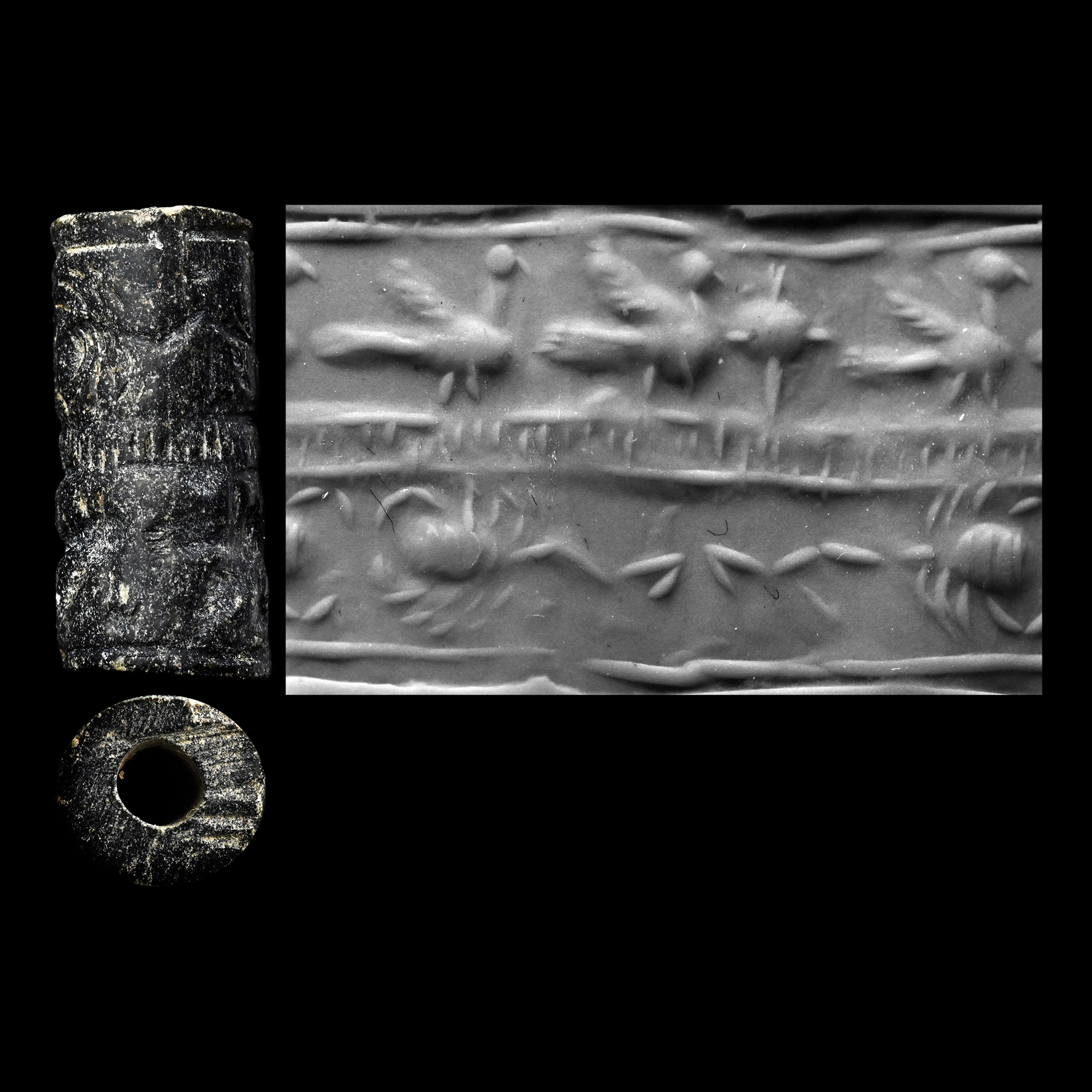 Western Asiatic Stone Cylinder Seal with Birds and Scorpions