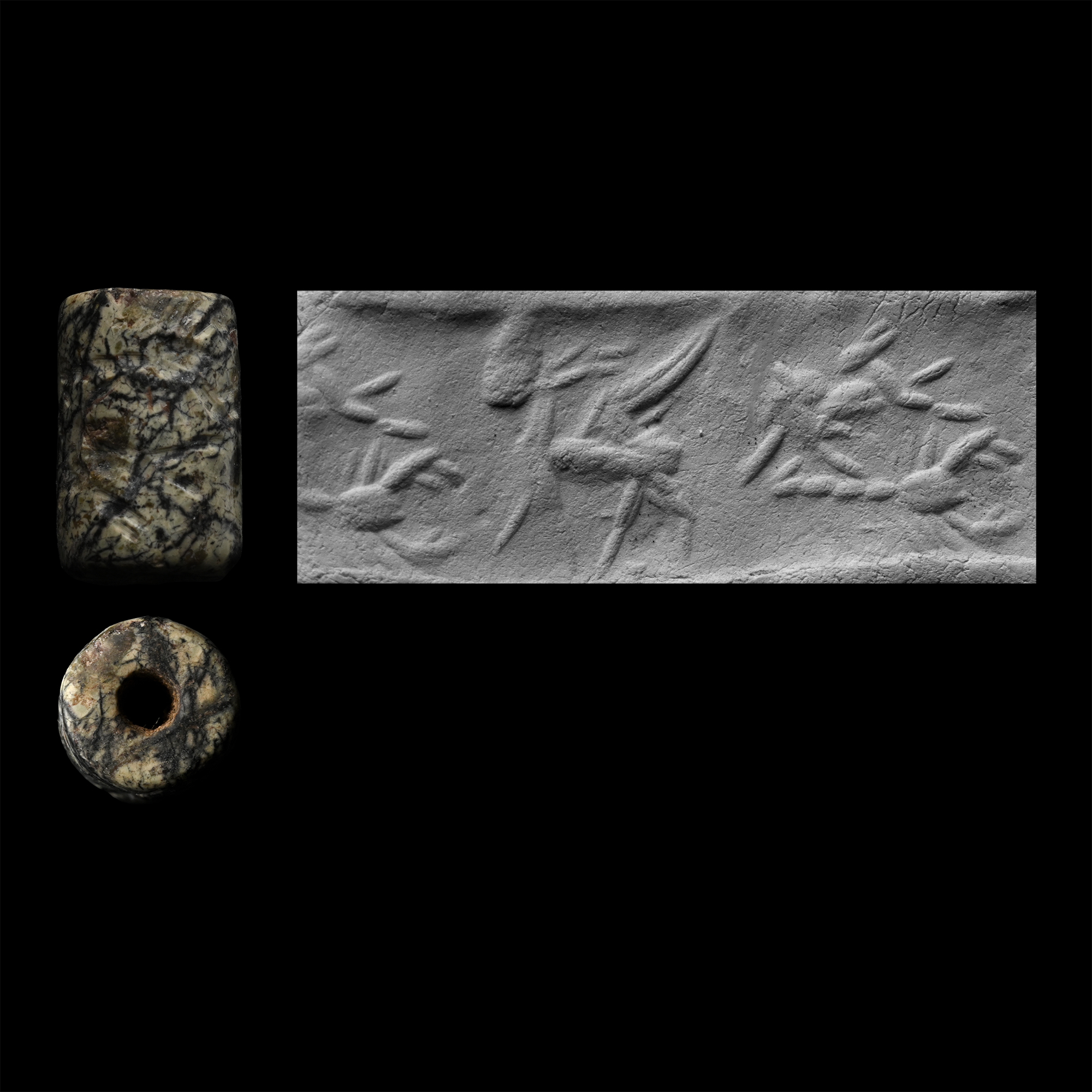 Western Asiatic Veined Stone Cylinder Seal with Animals