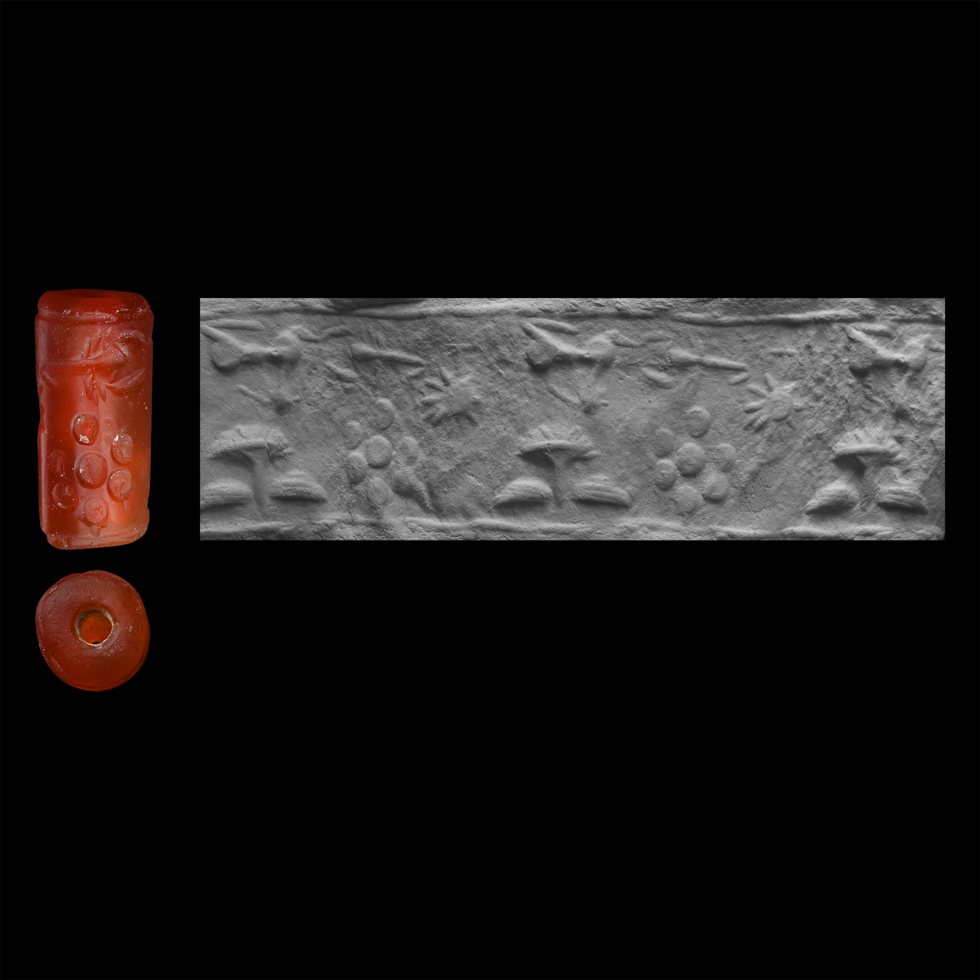 Western Asiatic Carnelian Cylinder Seal with Bird and Ibex