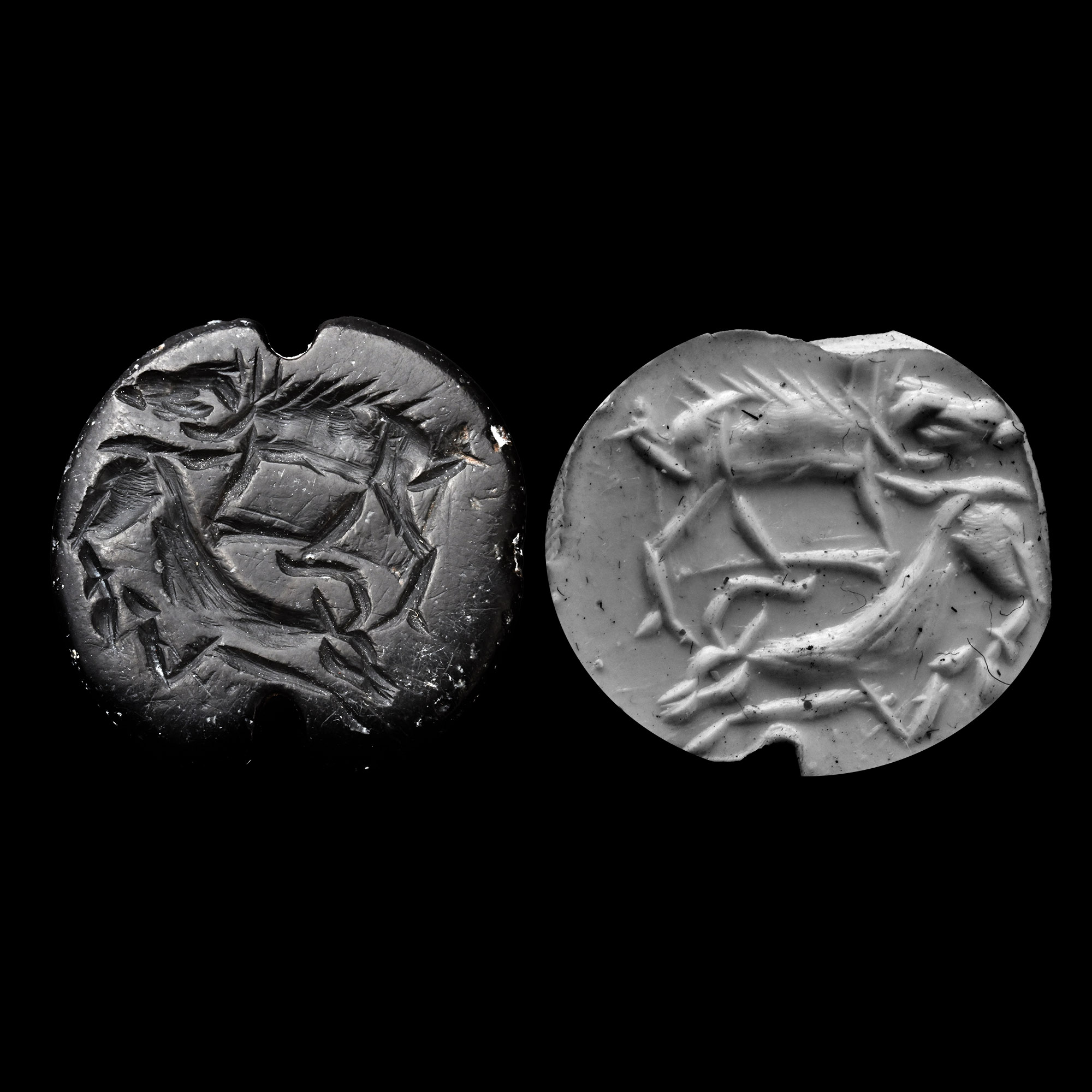 Western Asiatic Black Stone Stamp Seal with Animals