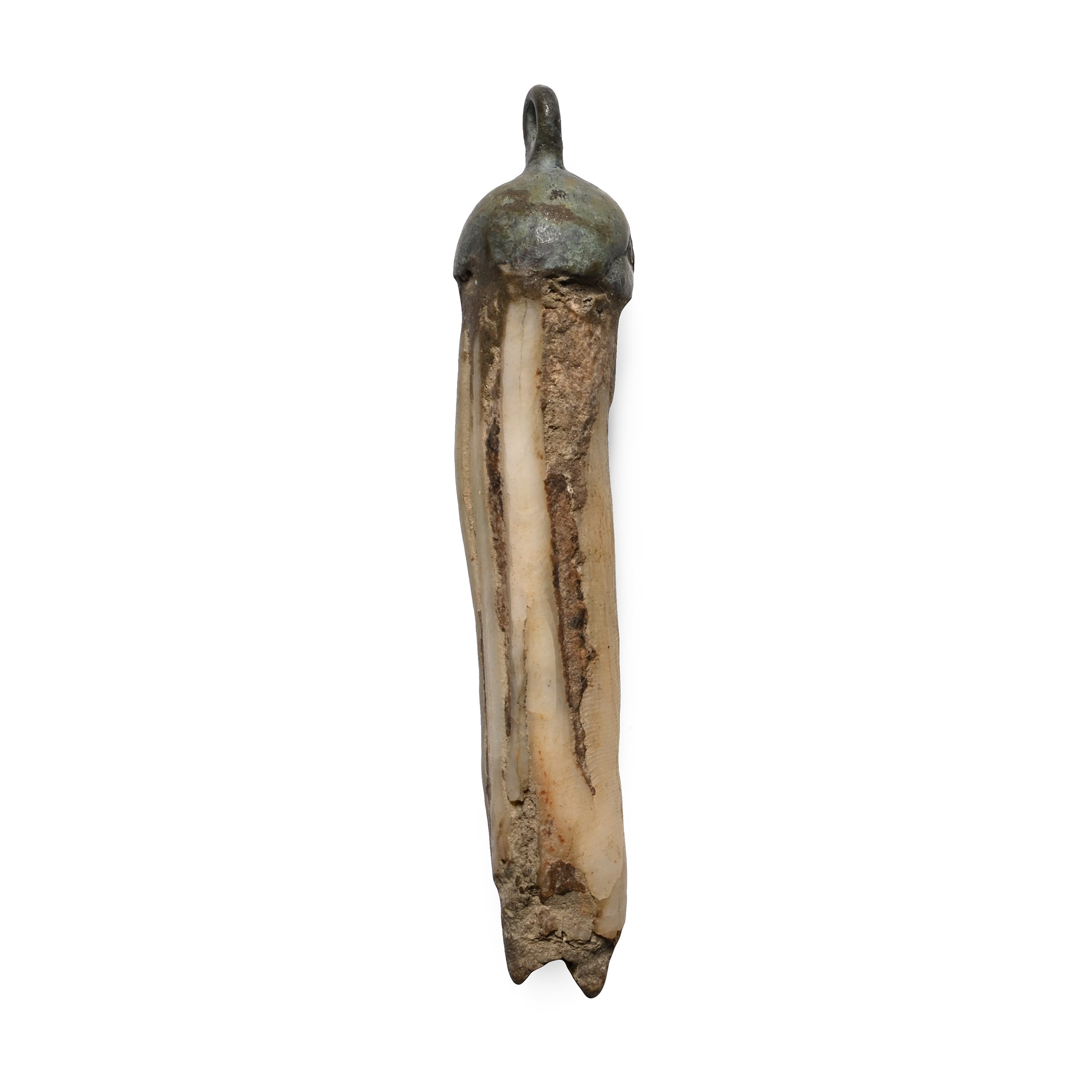 Viking Age Tooth Pendant
