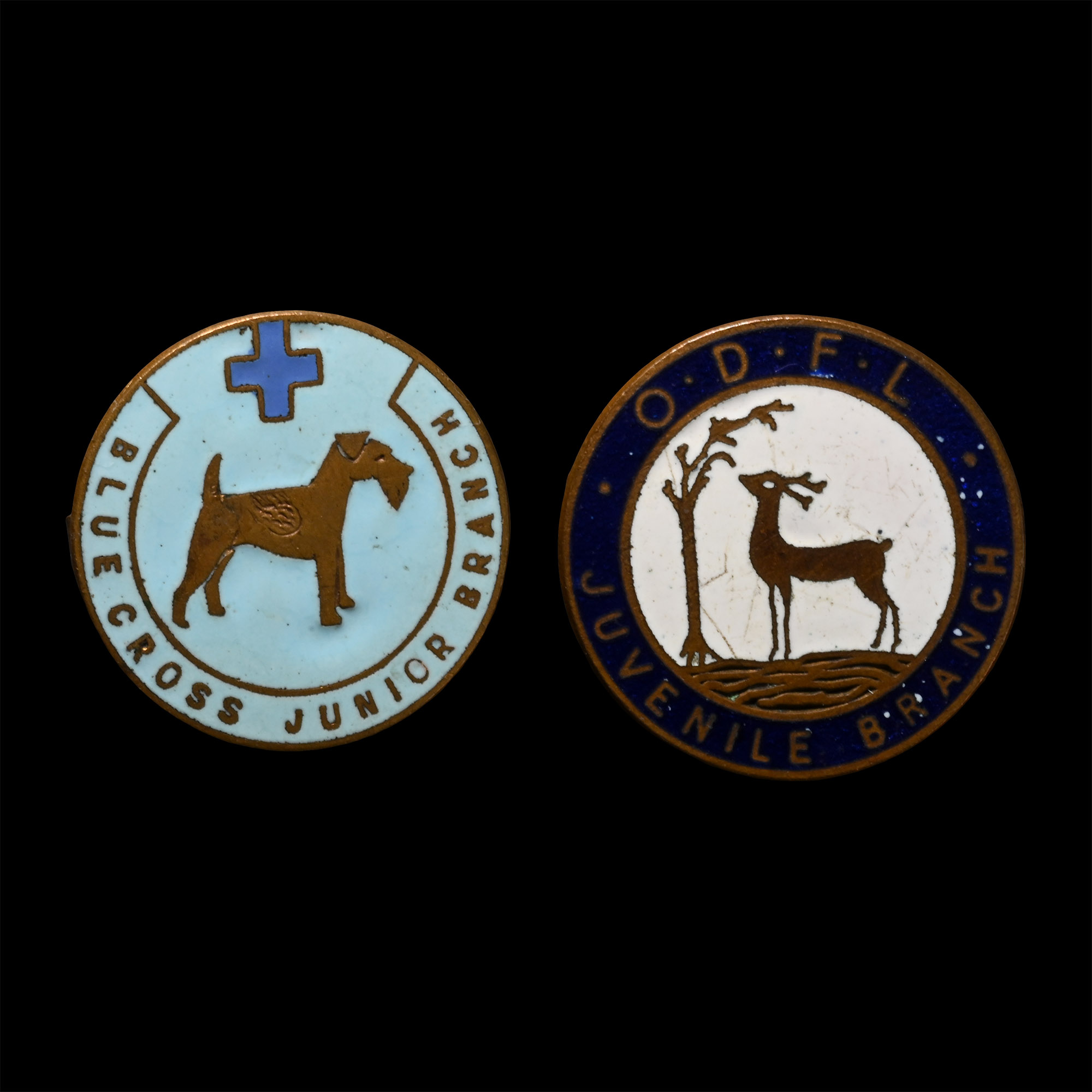 Post Medieval Enamelled Badge Group