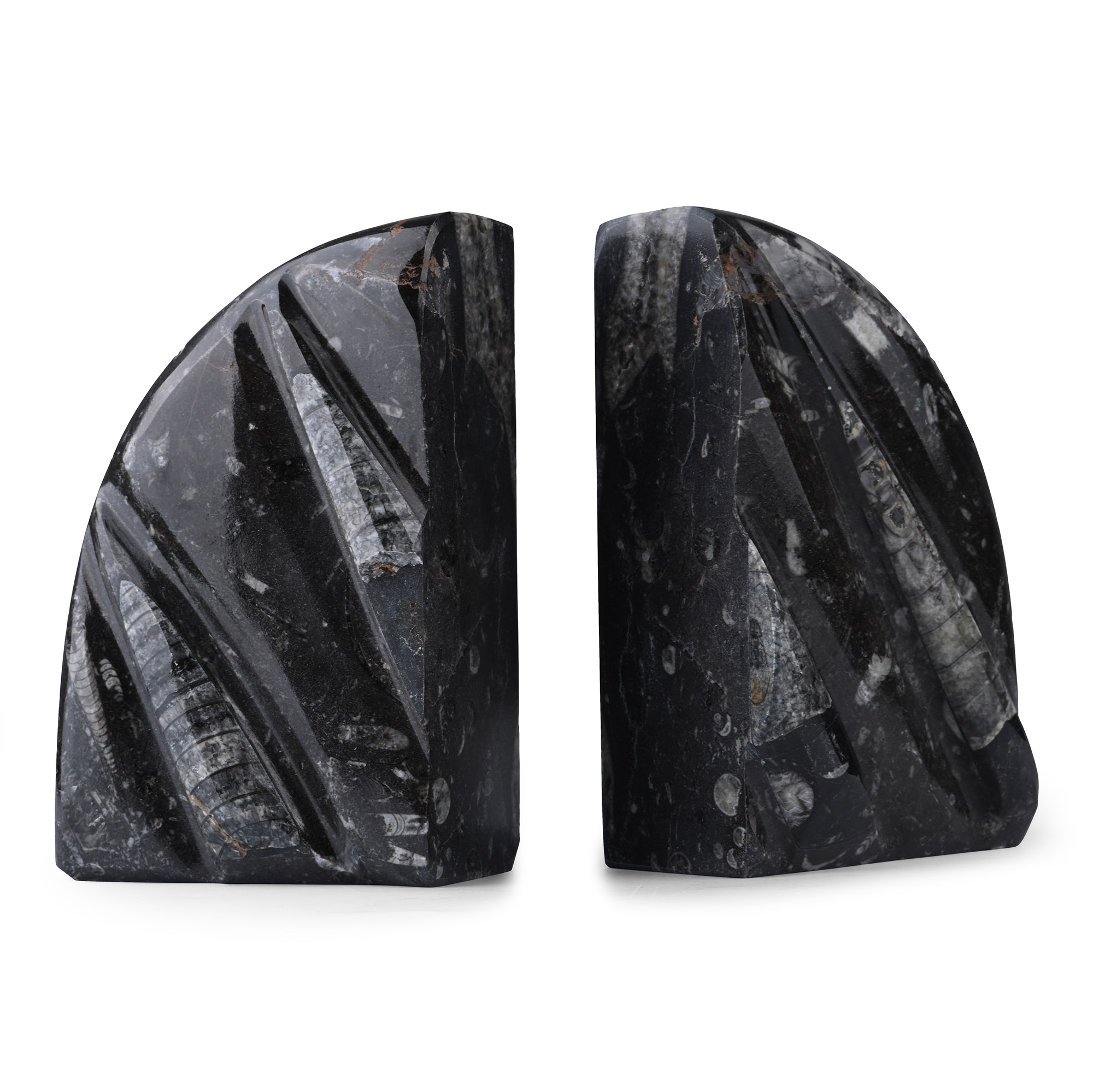 Polished Fossil Orthoceras Book End Pair