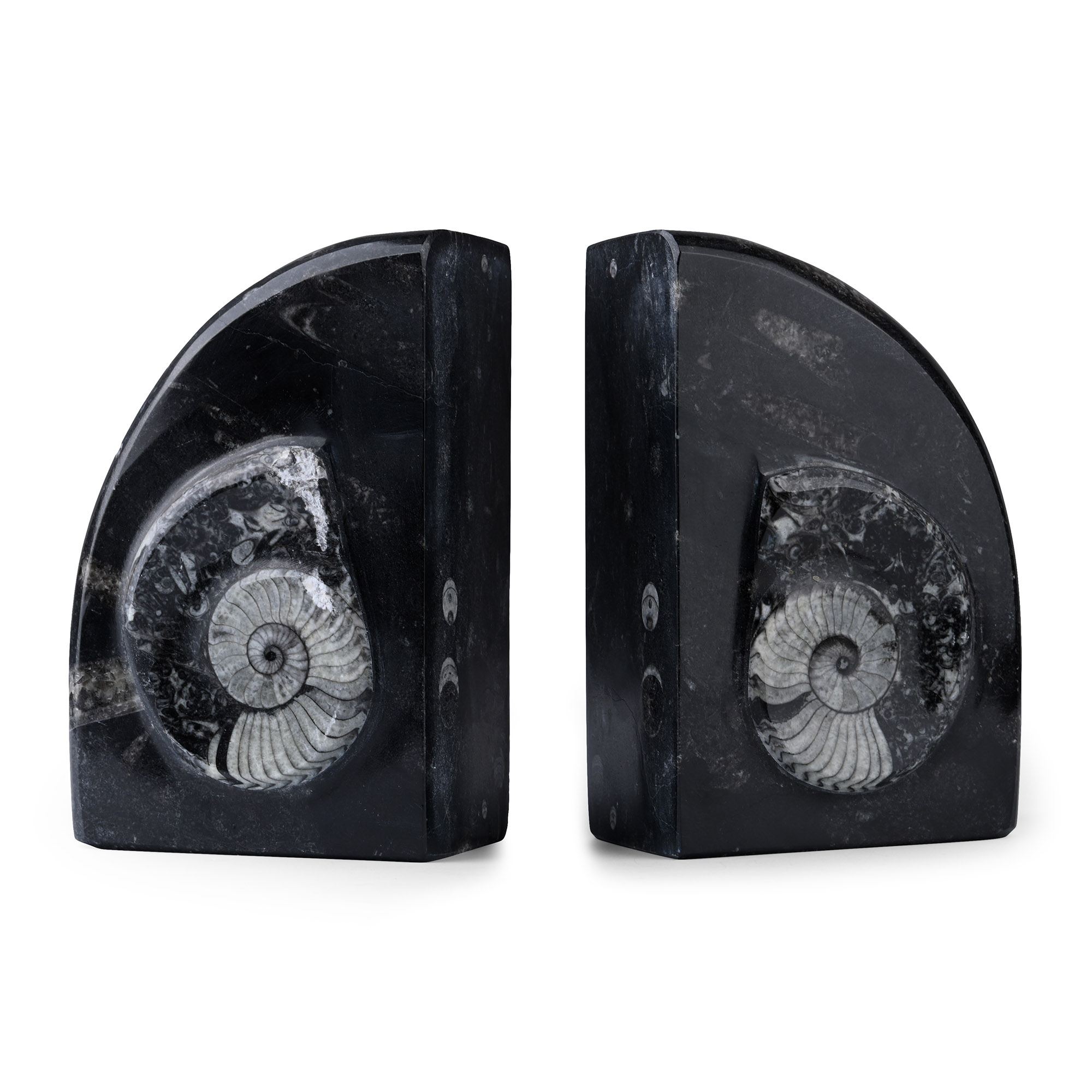 Polished Fossil Book End Pair
