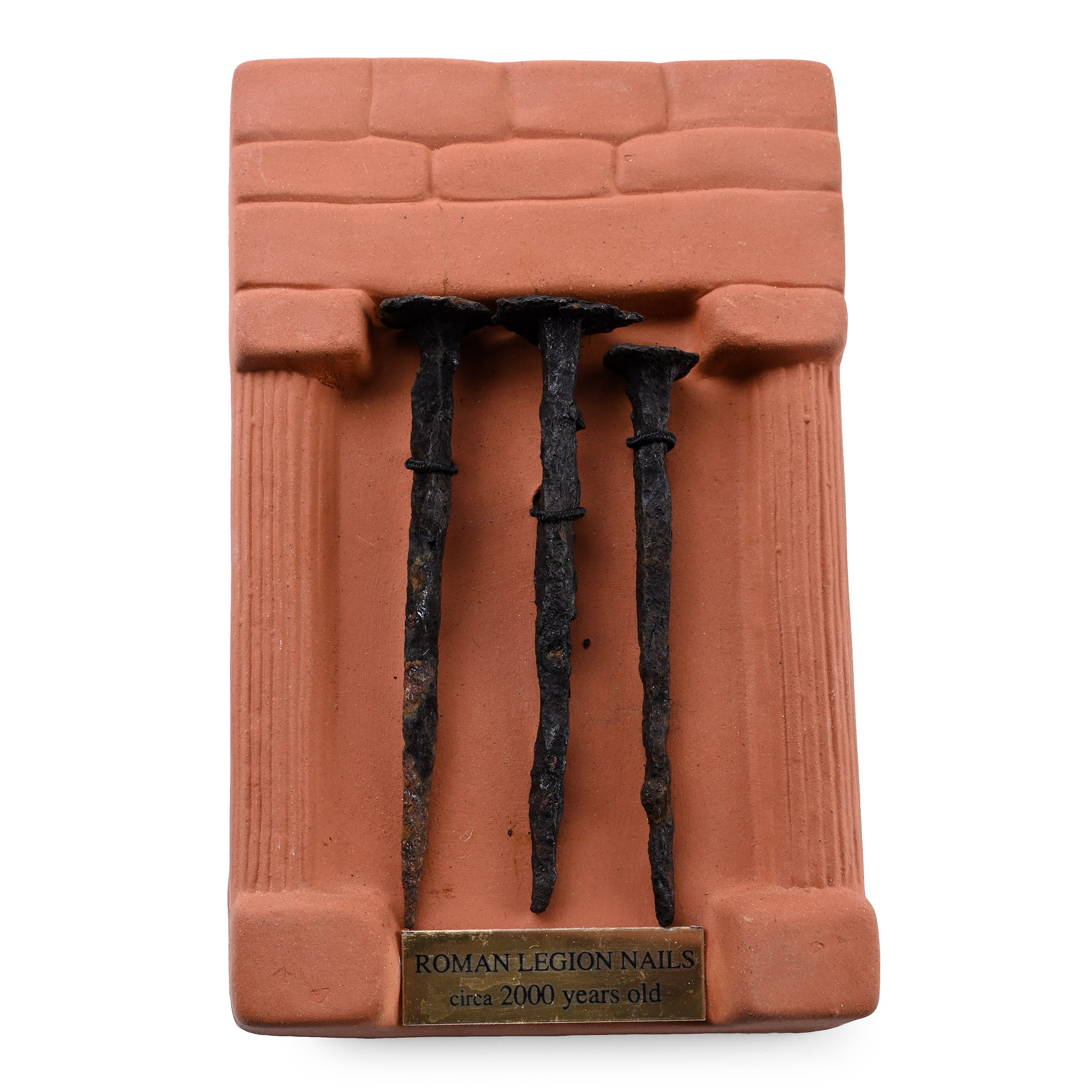 Romano-Scottish Legion XX Valeria Victrix 'Inchtuthil Fort' Boxed Educational Roman Iron Nail Hoard Display