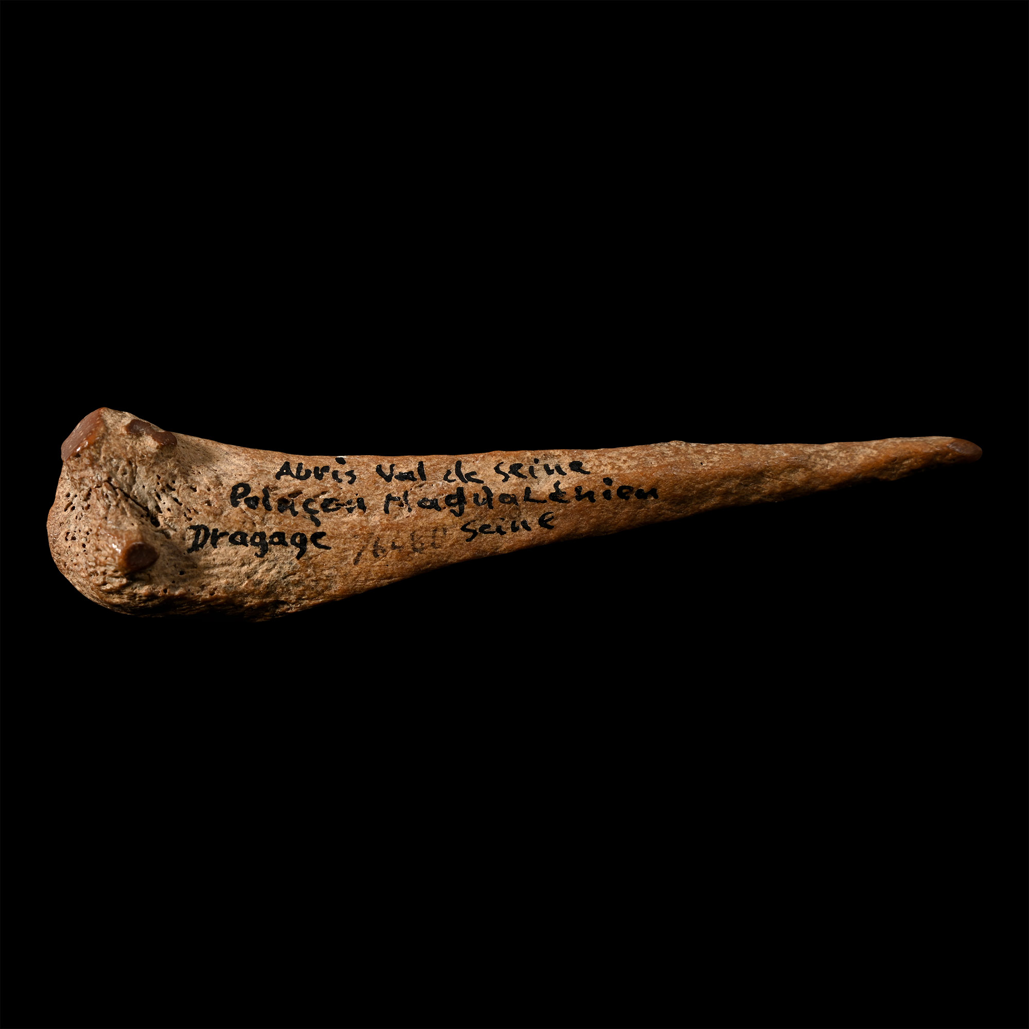 French Stone Age Magdalenian Bone Awl