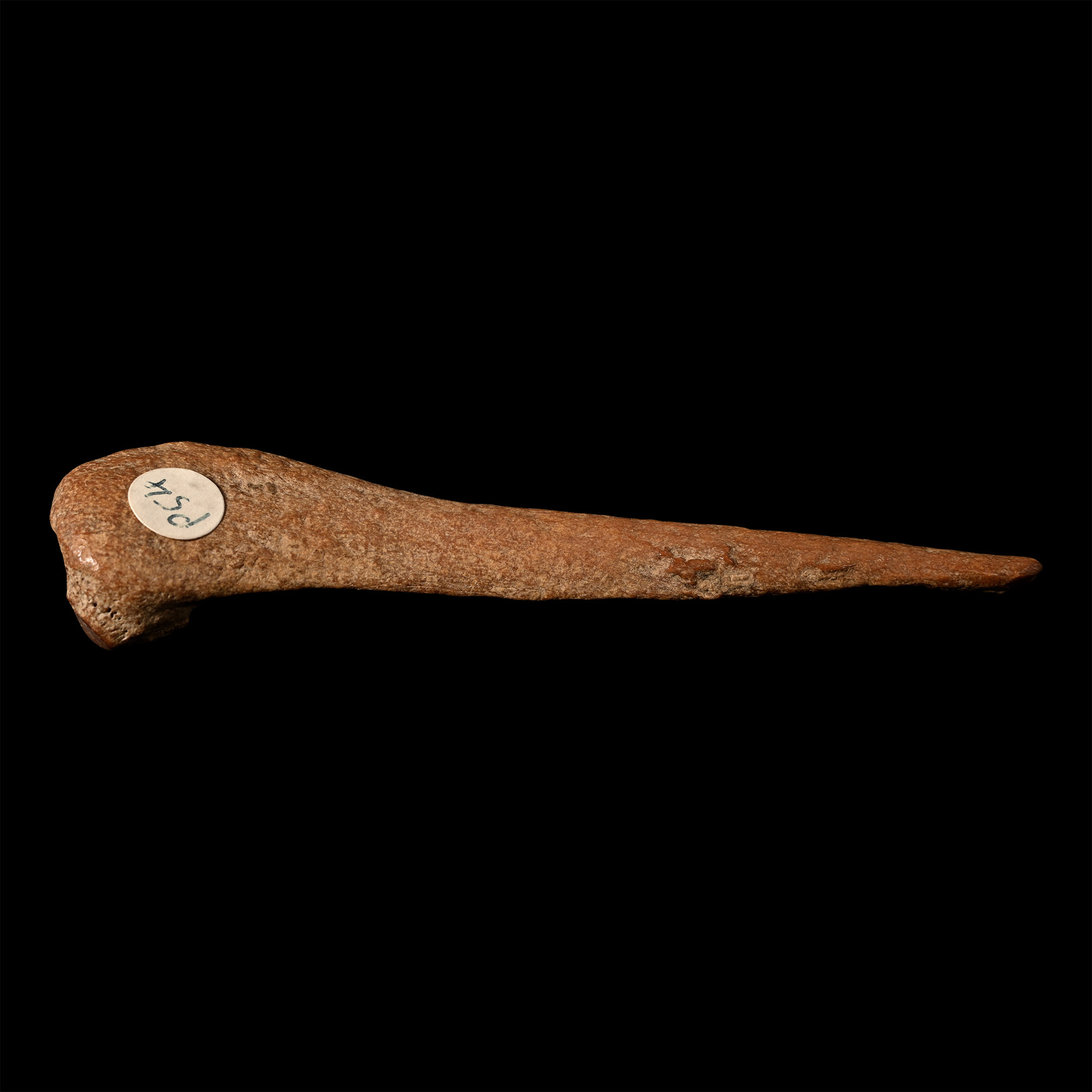 French Stone Age Magdalenian Bone Awl