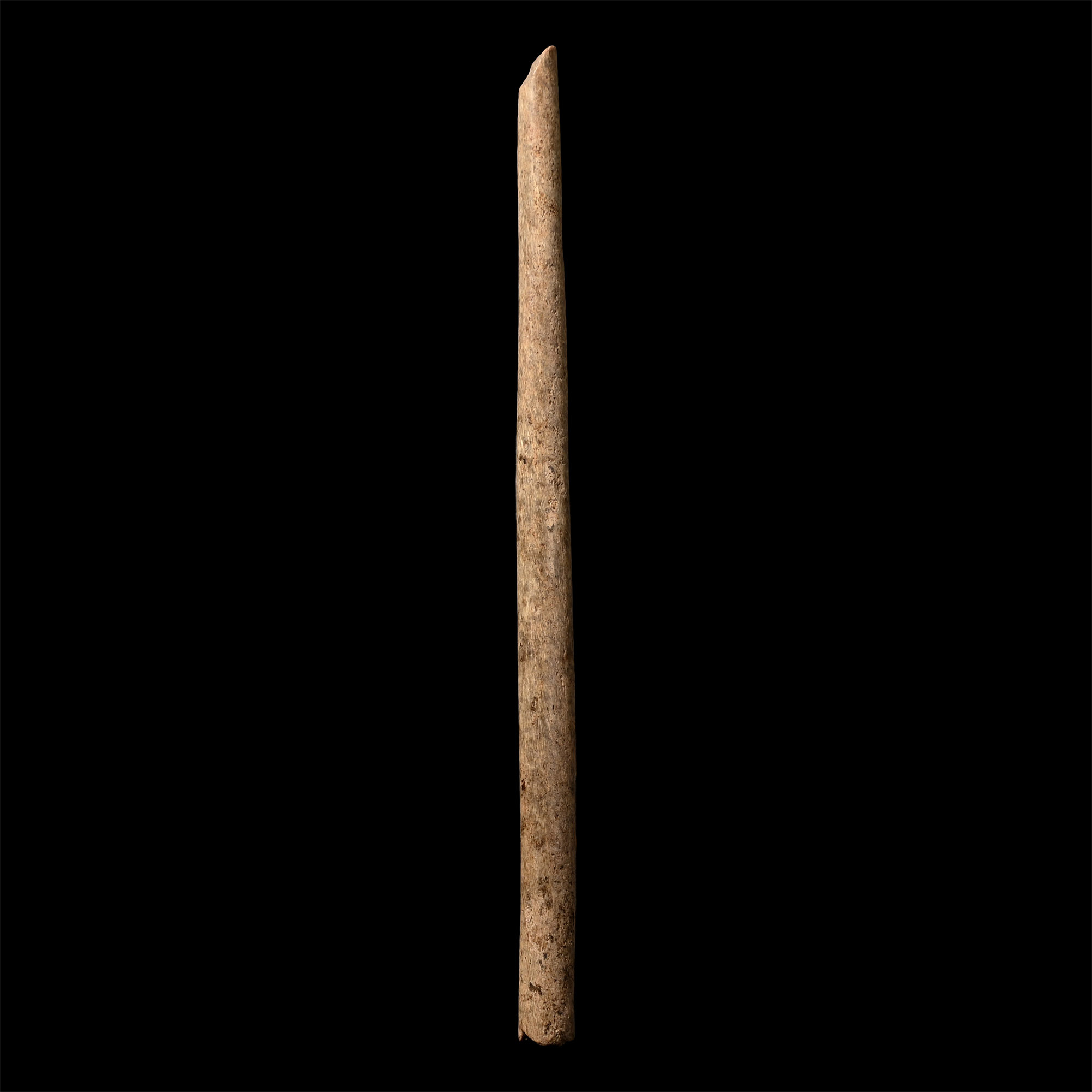 French Stone Age Magdalenian Bone Needle