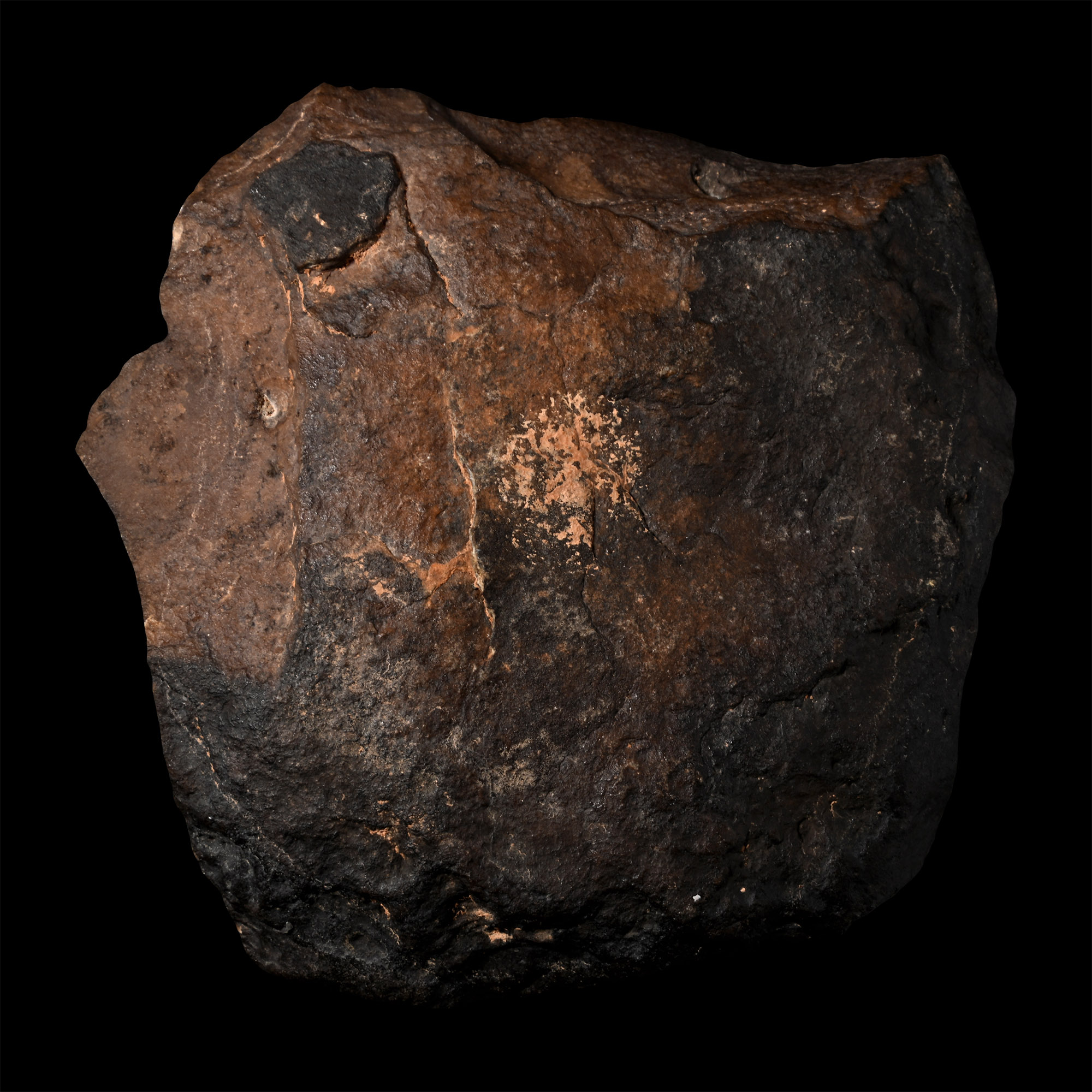 African Stone Age Homo Habilis Oldowan Stone Chopper