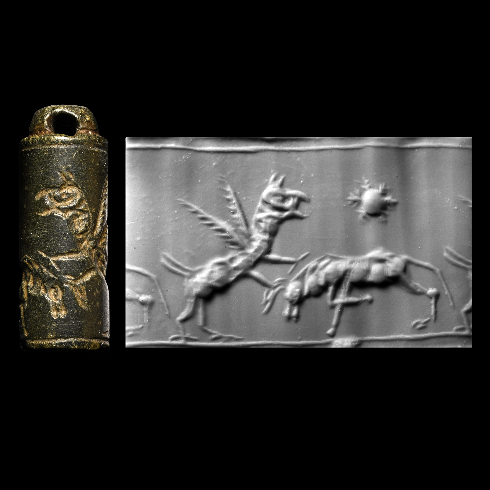 Achaemenid Grey Stone Cylinder Seal Pendant with Gryphon and Ibex