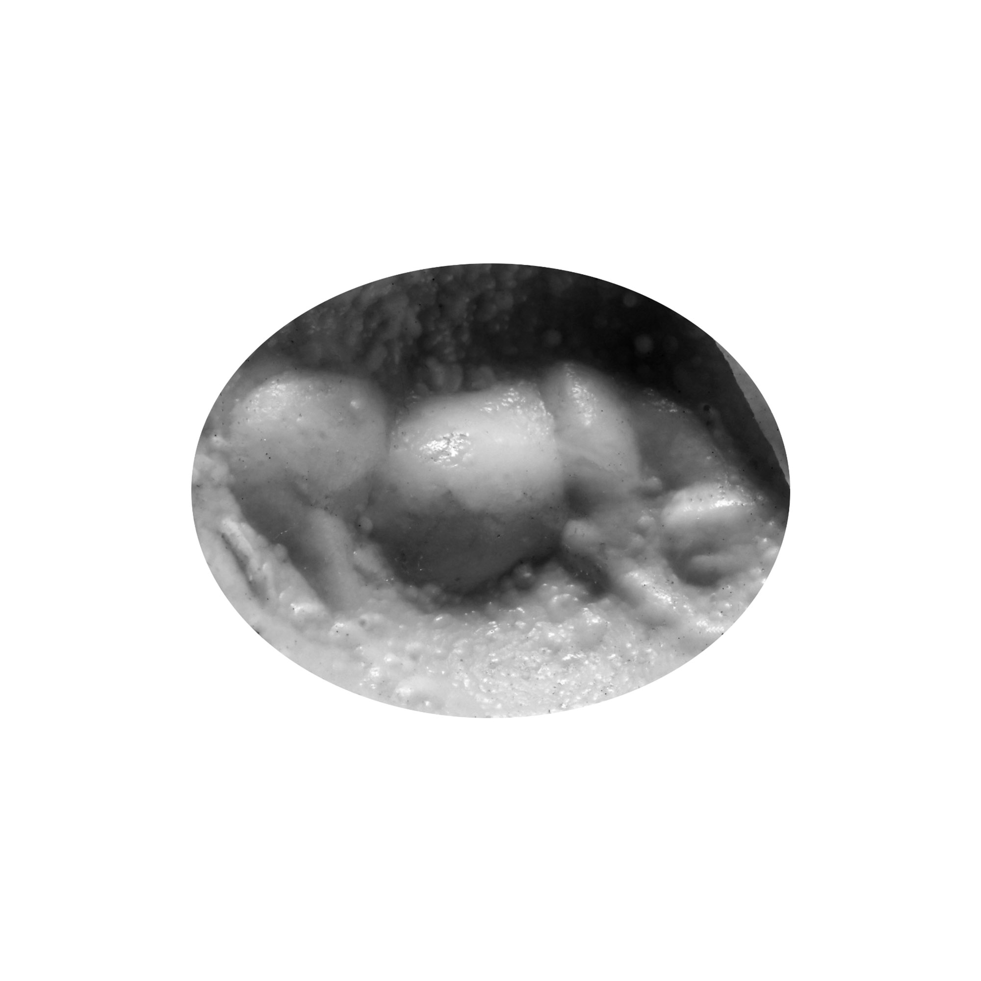 Roman Glass Gem with Horse