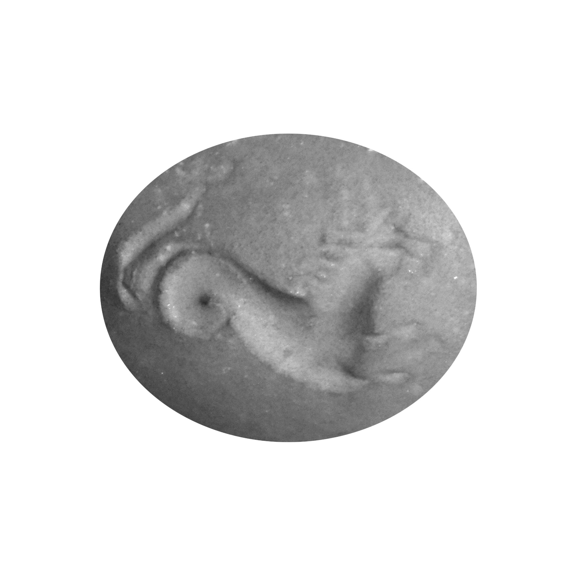 Roman Garnet Gemstone with Hippocamp