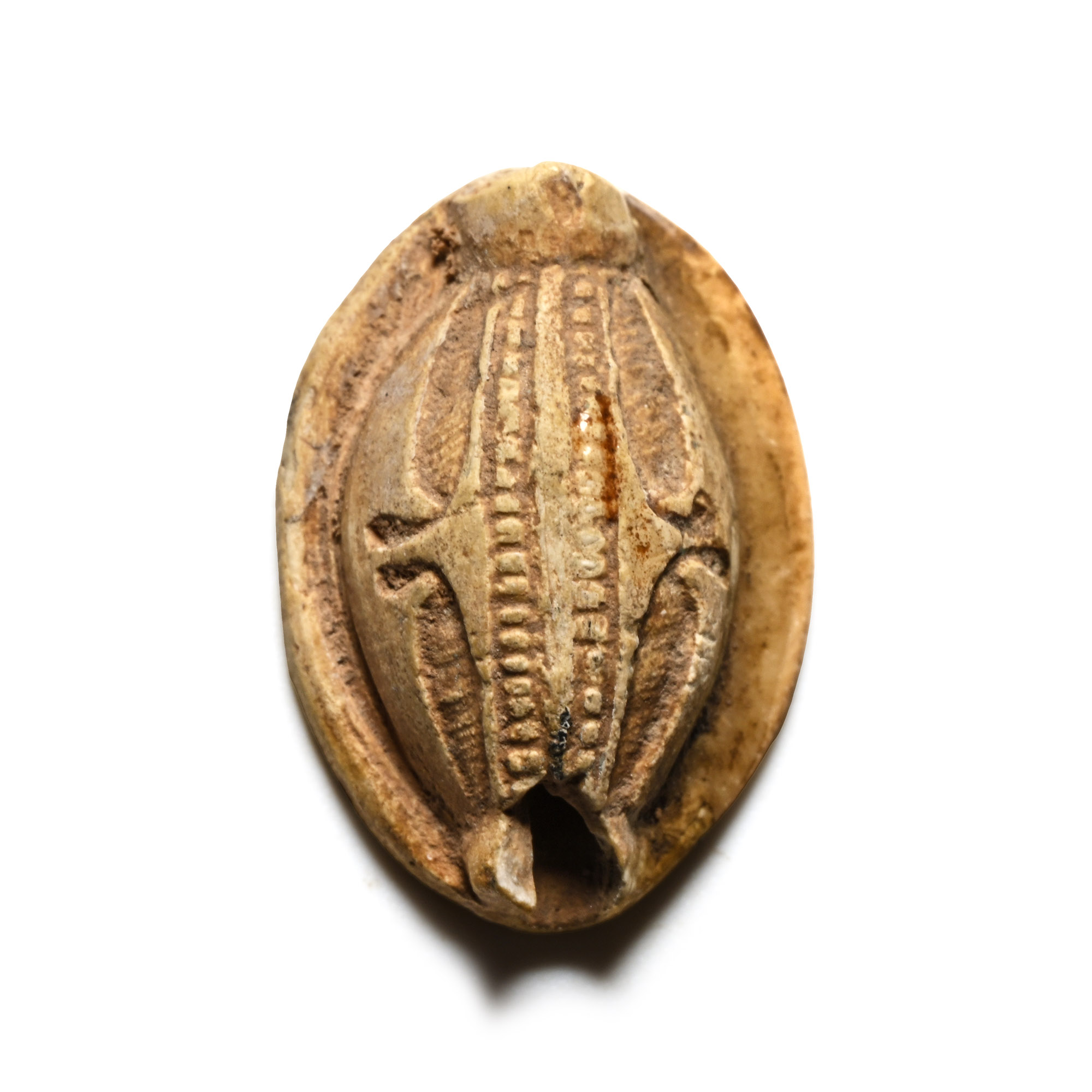 Egyptian Stone Scarab