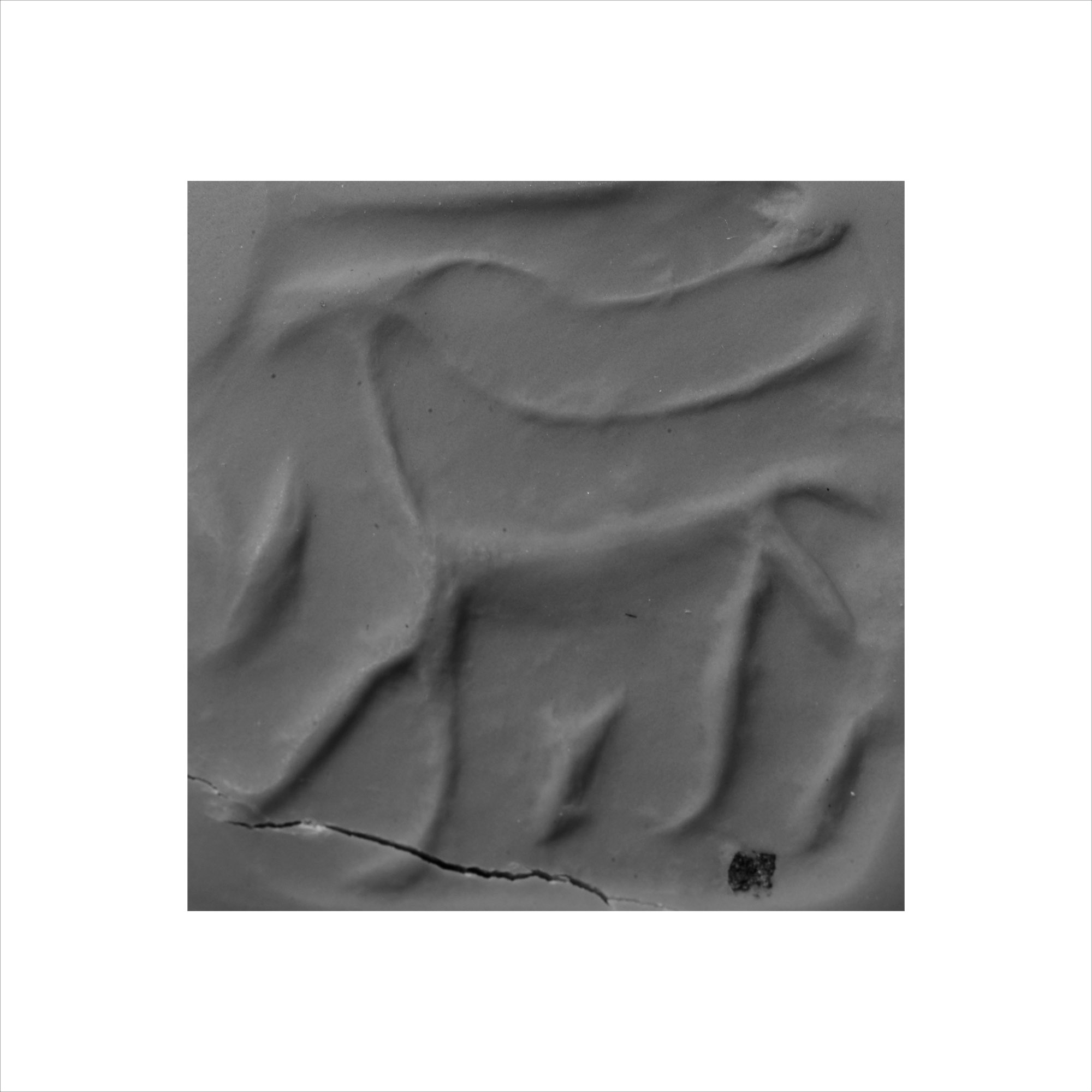 Western Asiatic Engraved Black Stone Stamp Seal with Animal