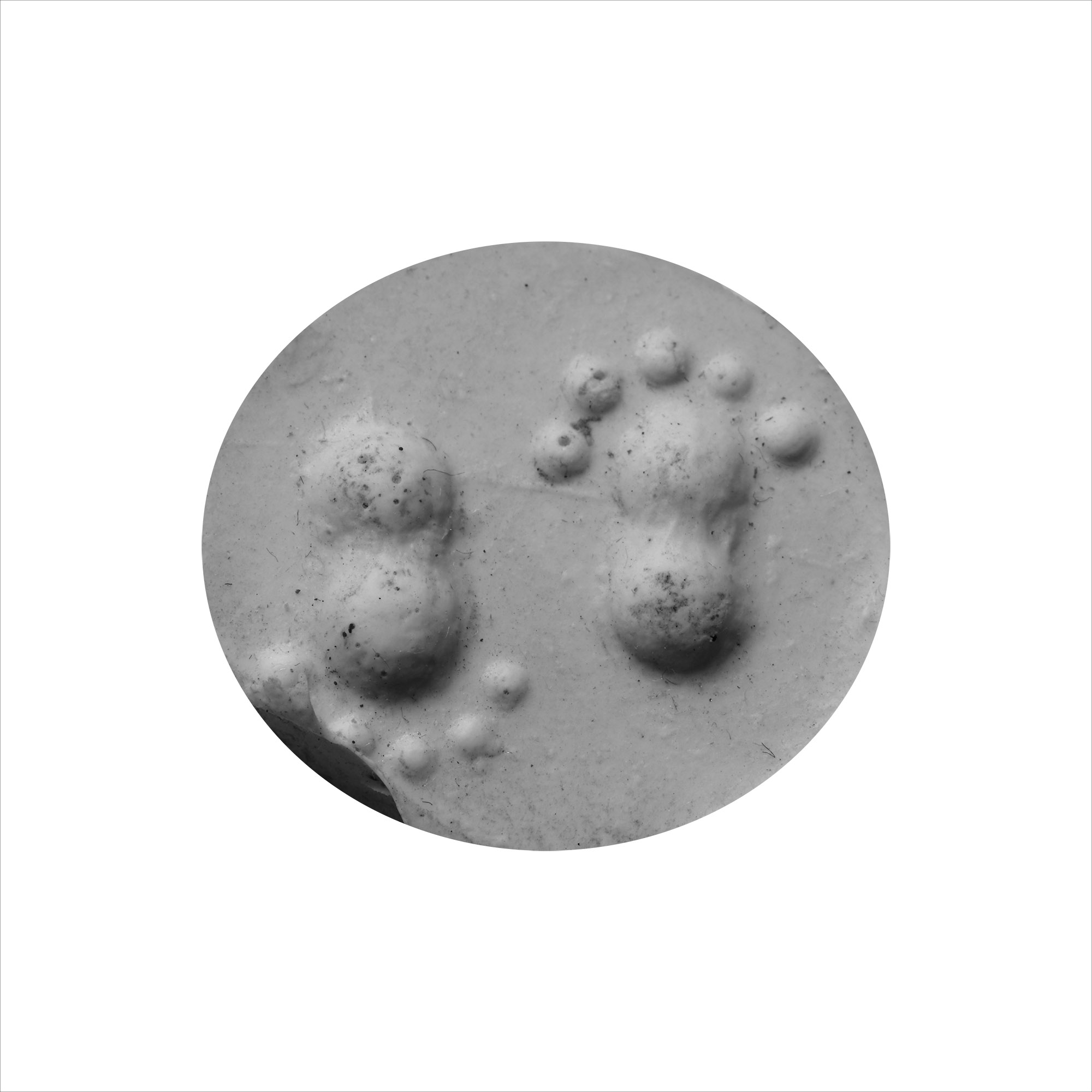 Western Asiatic Pink Marble Amuletic Stamp Seal with Feet