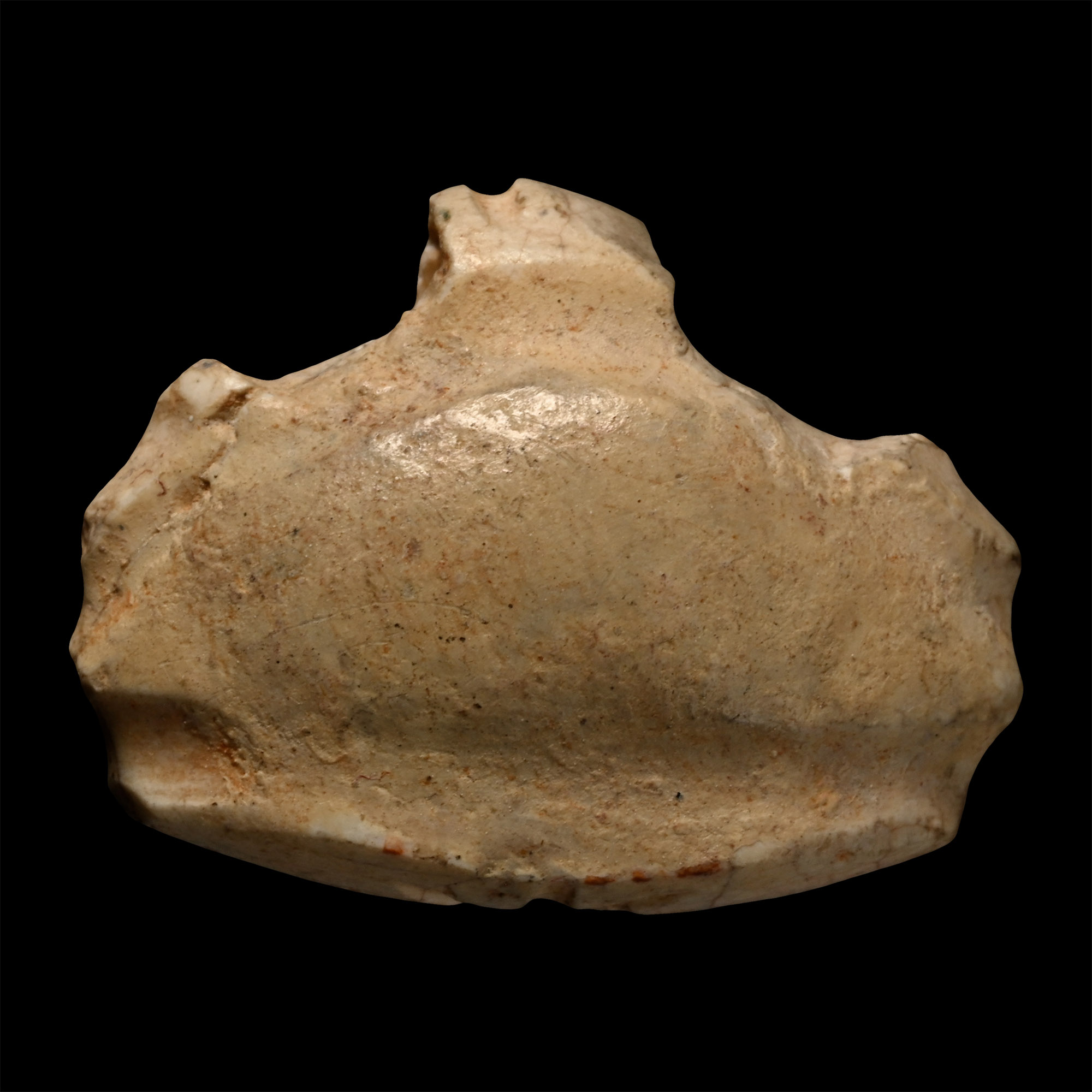 Phoenician Cream Stone Scaraboid Stamp Seal with Star on Sceptre