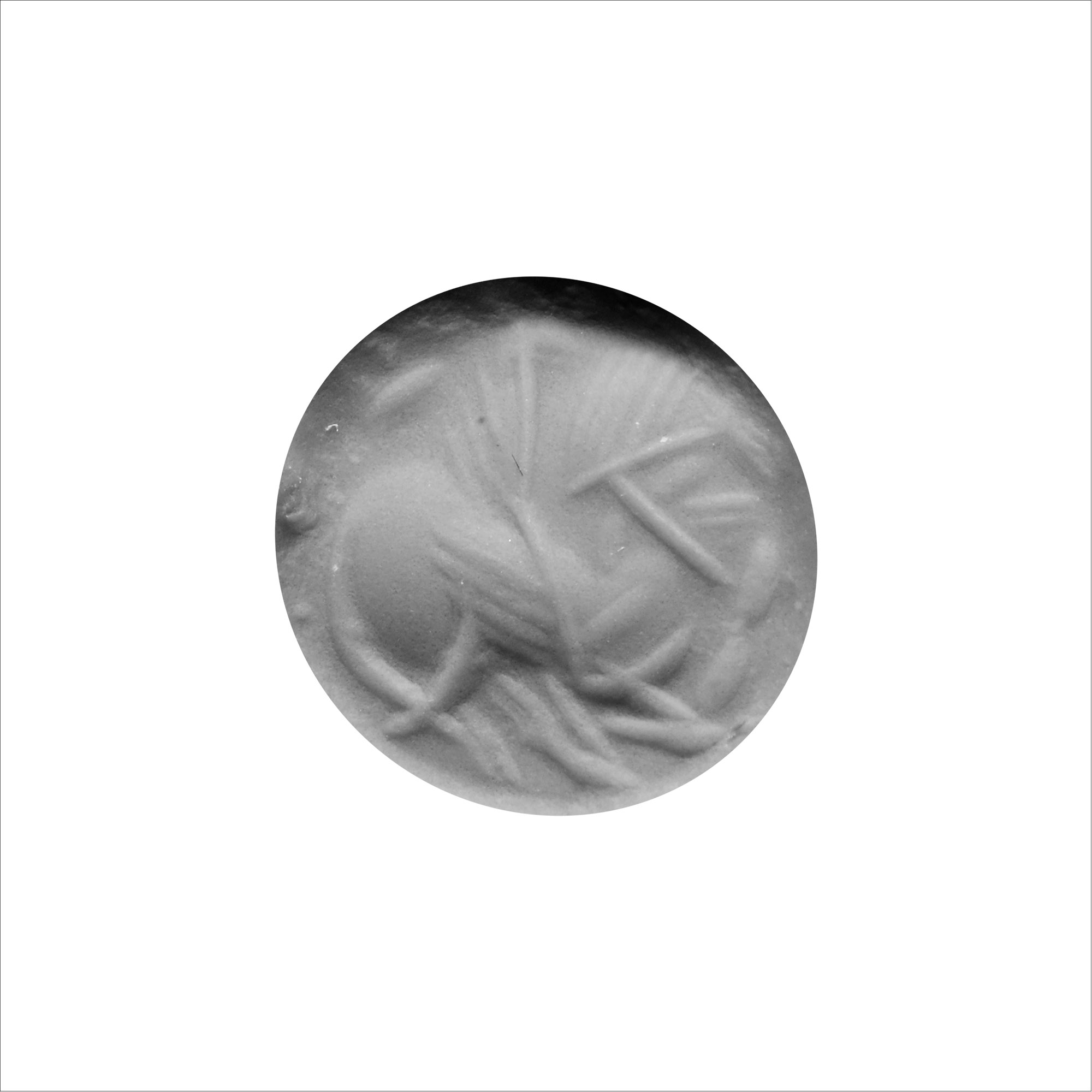 Sasanian Carnelian Stamp Seal with Gryphon