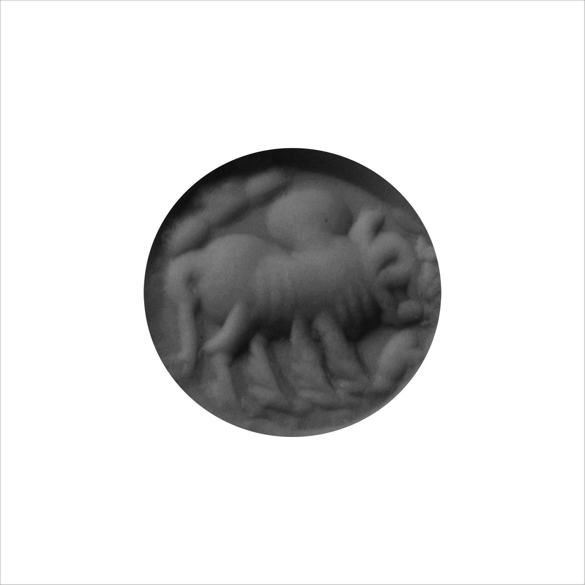 Sasanian Carnelian Stamp Seal with Zebu