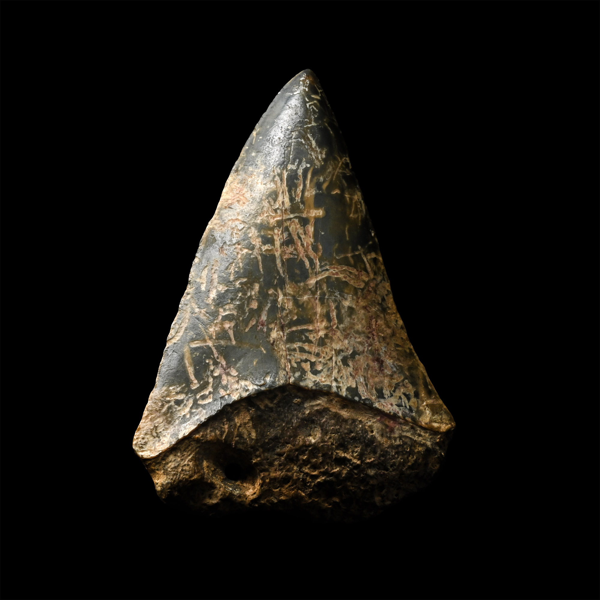 Western Asiatic Fossil Shark's Tooth Pendant with Inscriptions