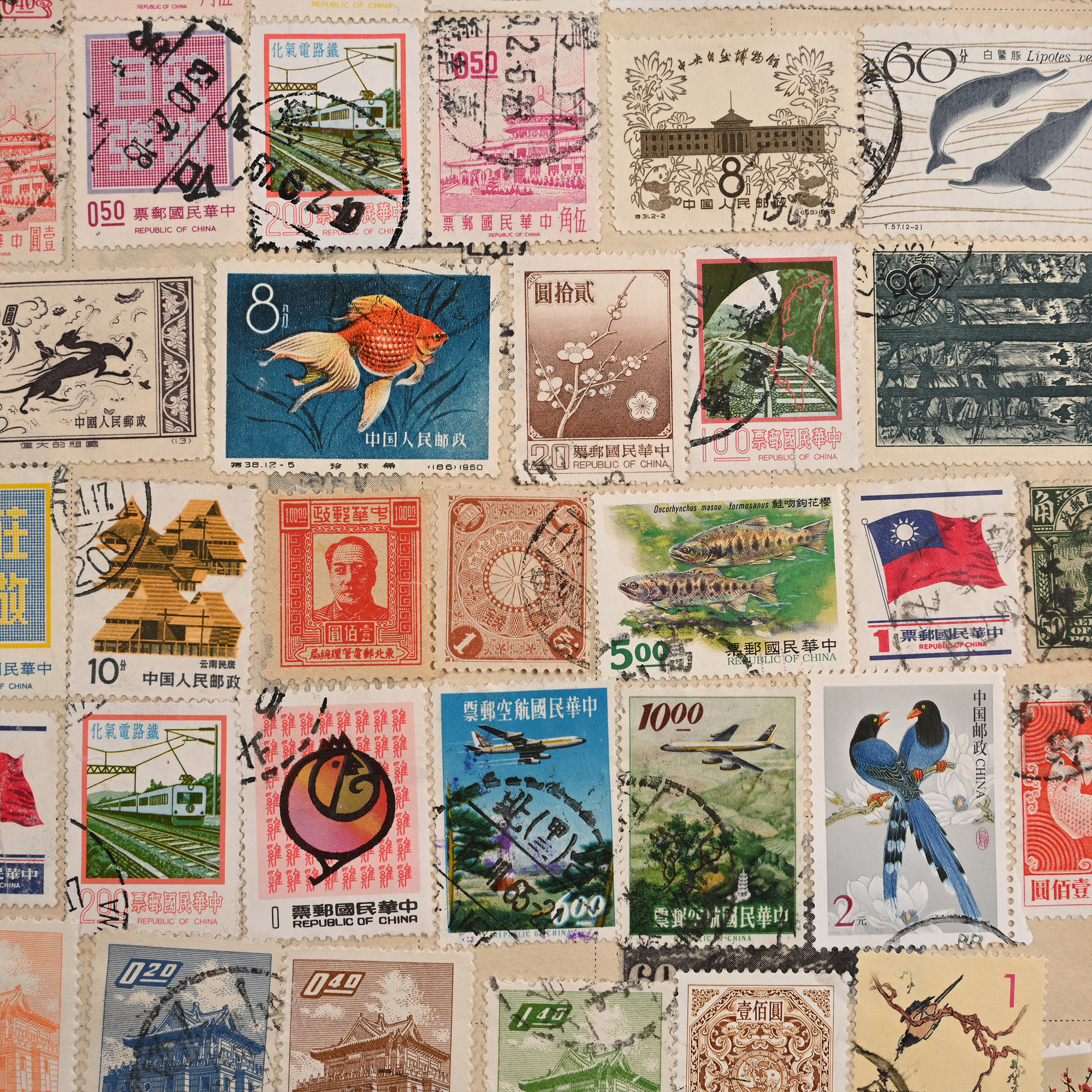 Collection of World Stamps in Five Albums
