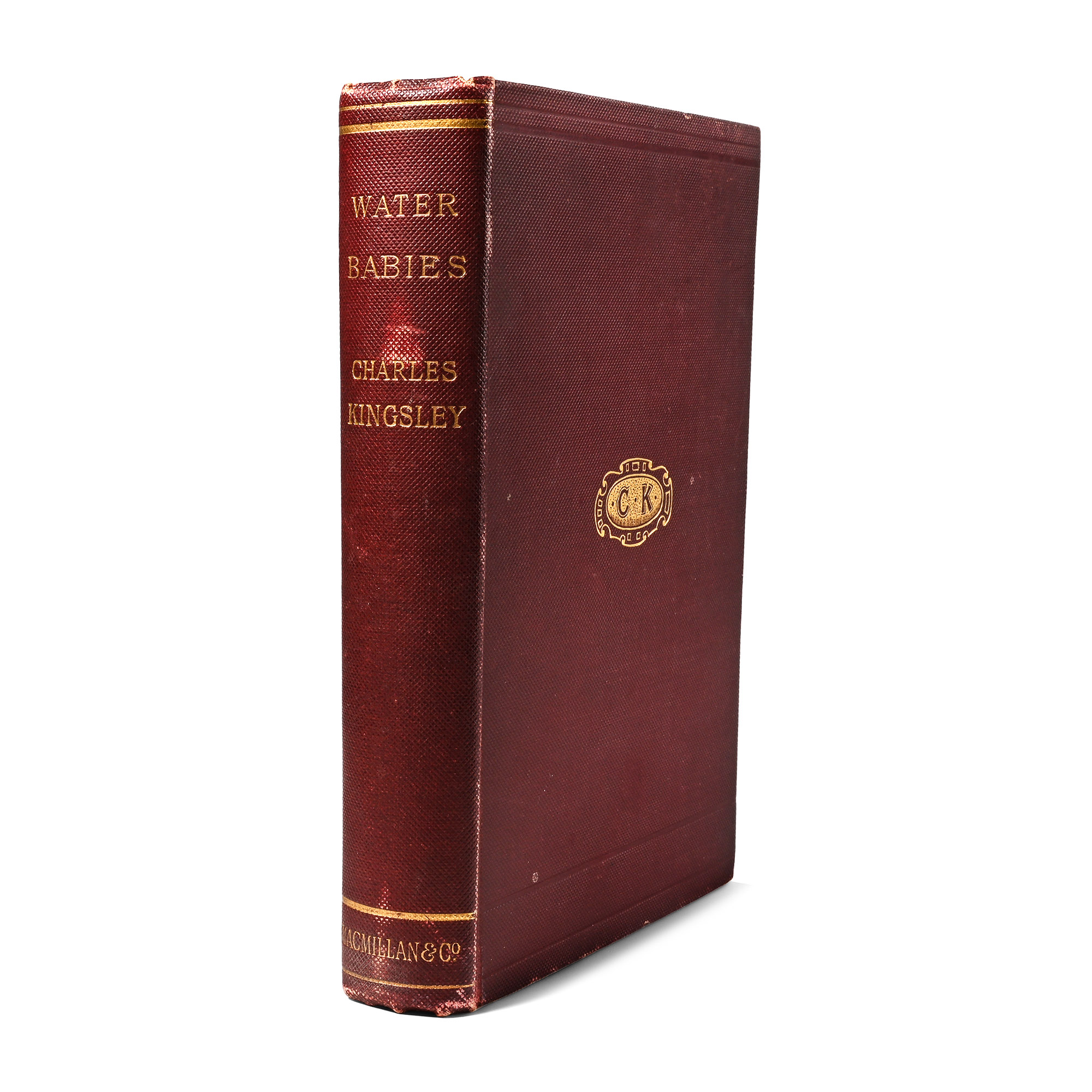 Water Babies by Charles Kingsley
