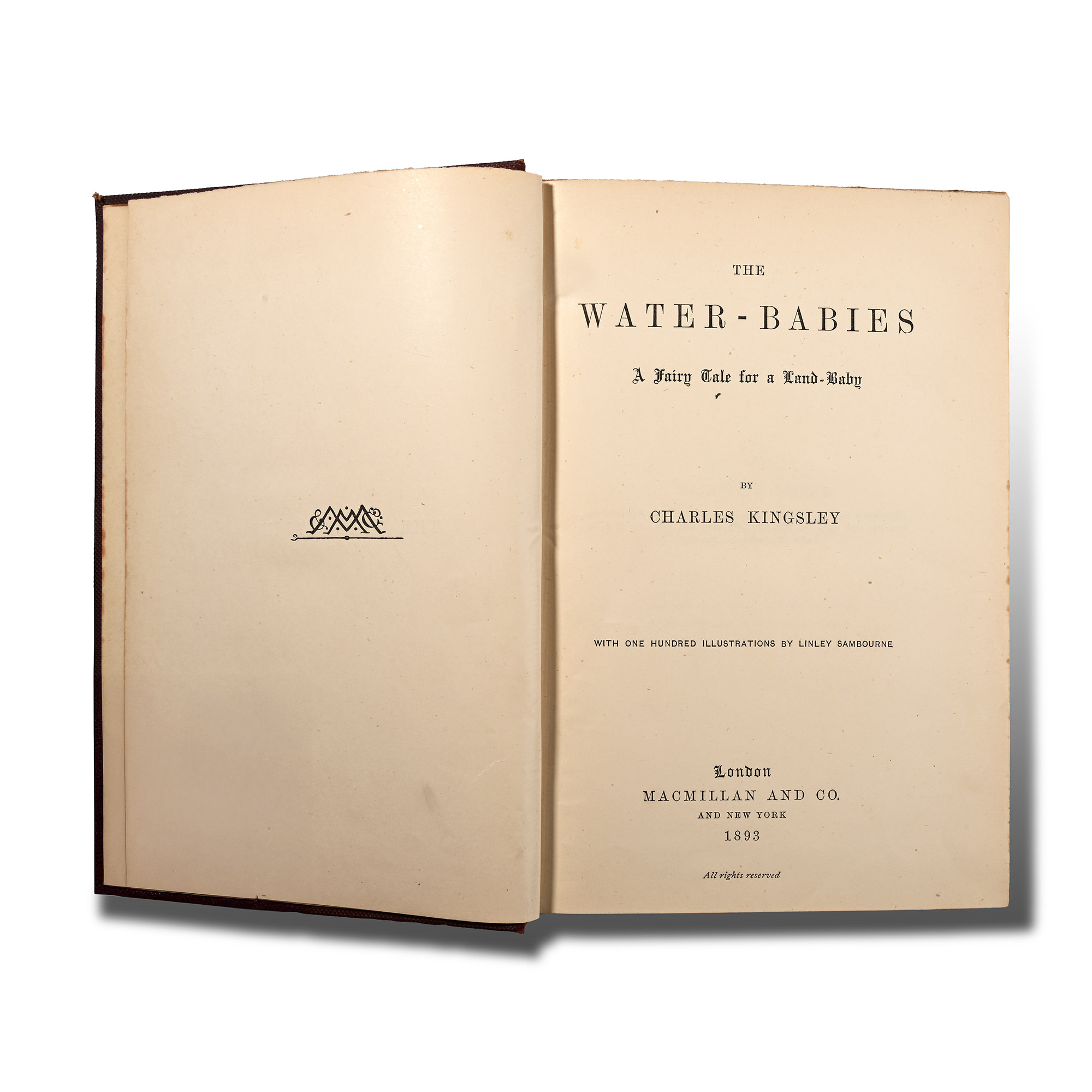 Water Babies by Charles Kingsley