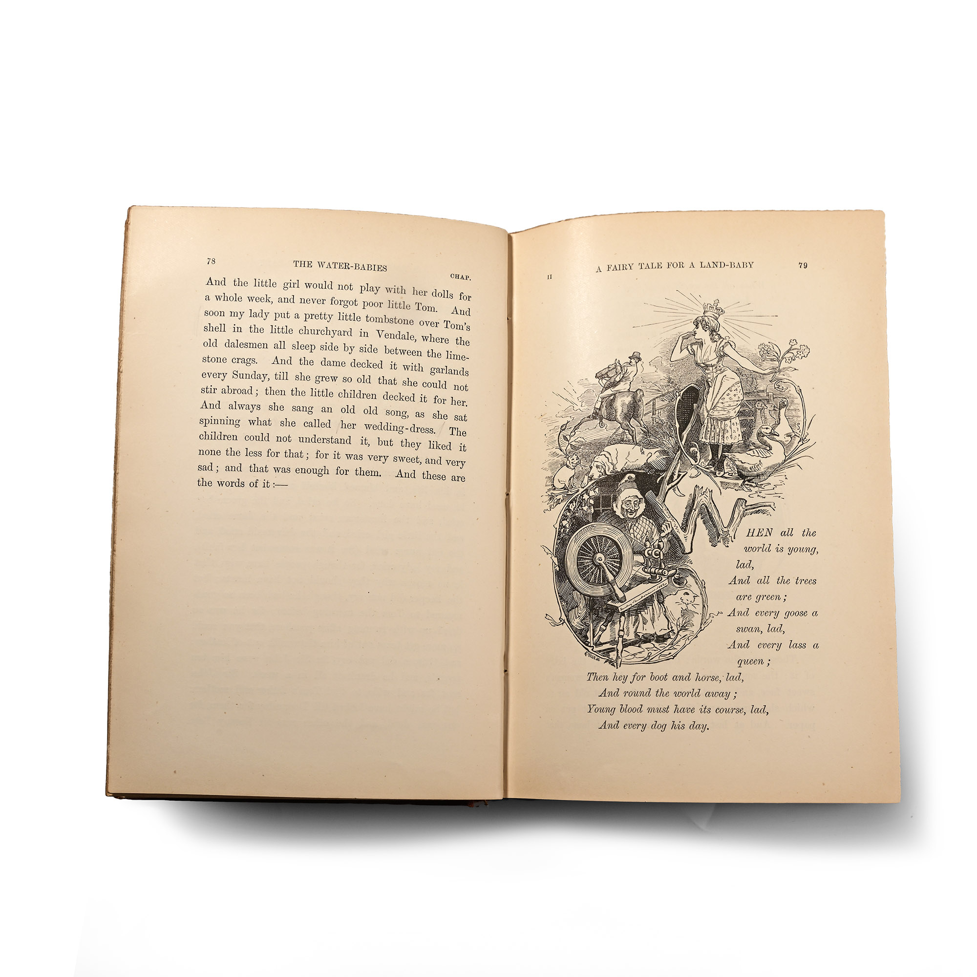 Water Babies by Charles Kingsley