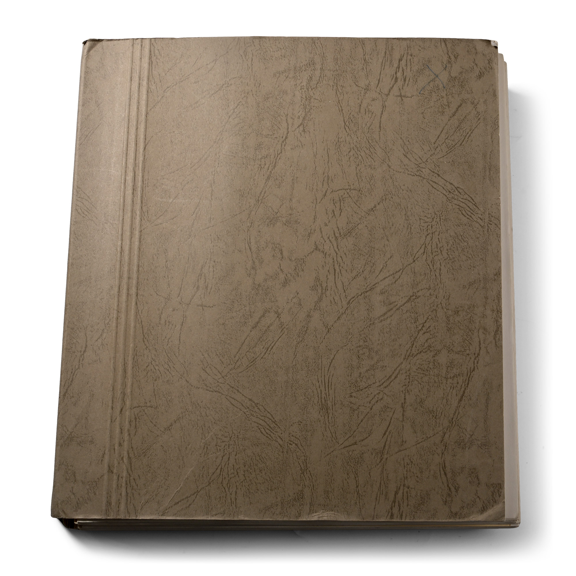 Loose Leaf Album of World Stamps