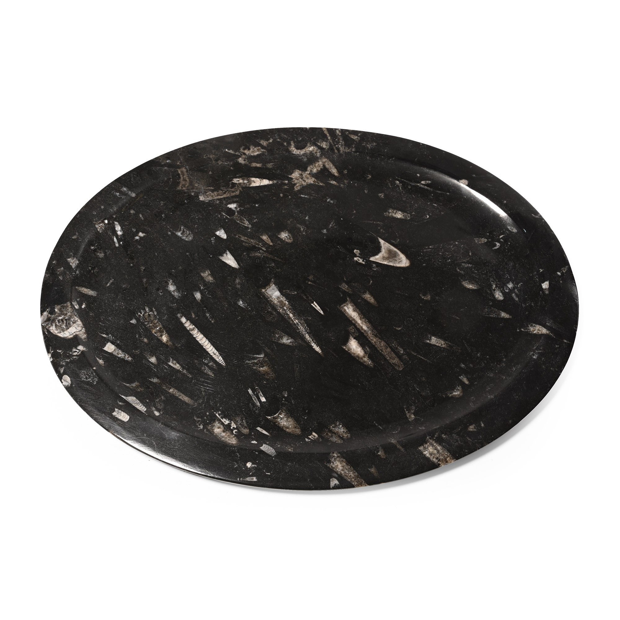 Large Polished Orthoceras Fossil Oval Platter