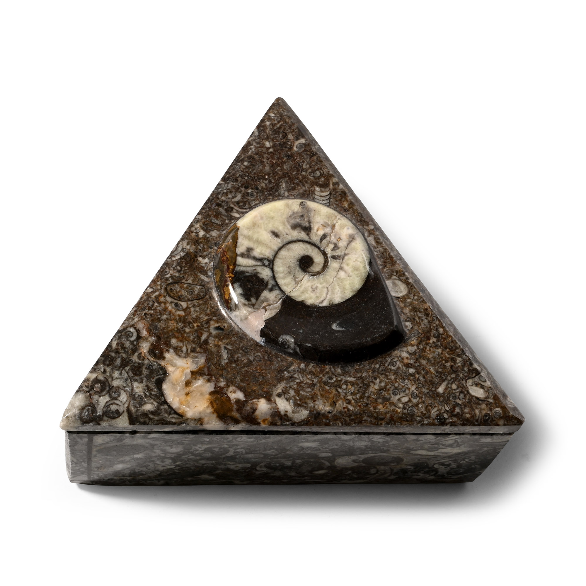 Polished Goniatite Fossil Triangular Lidded Box