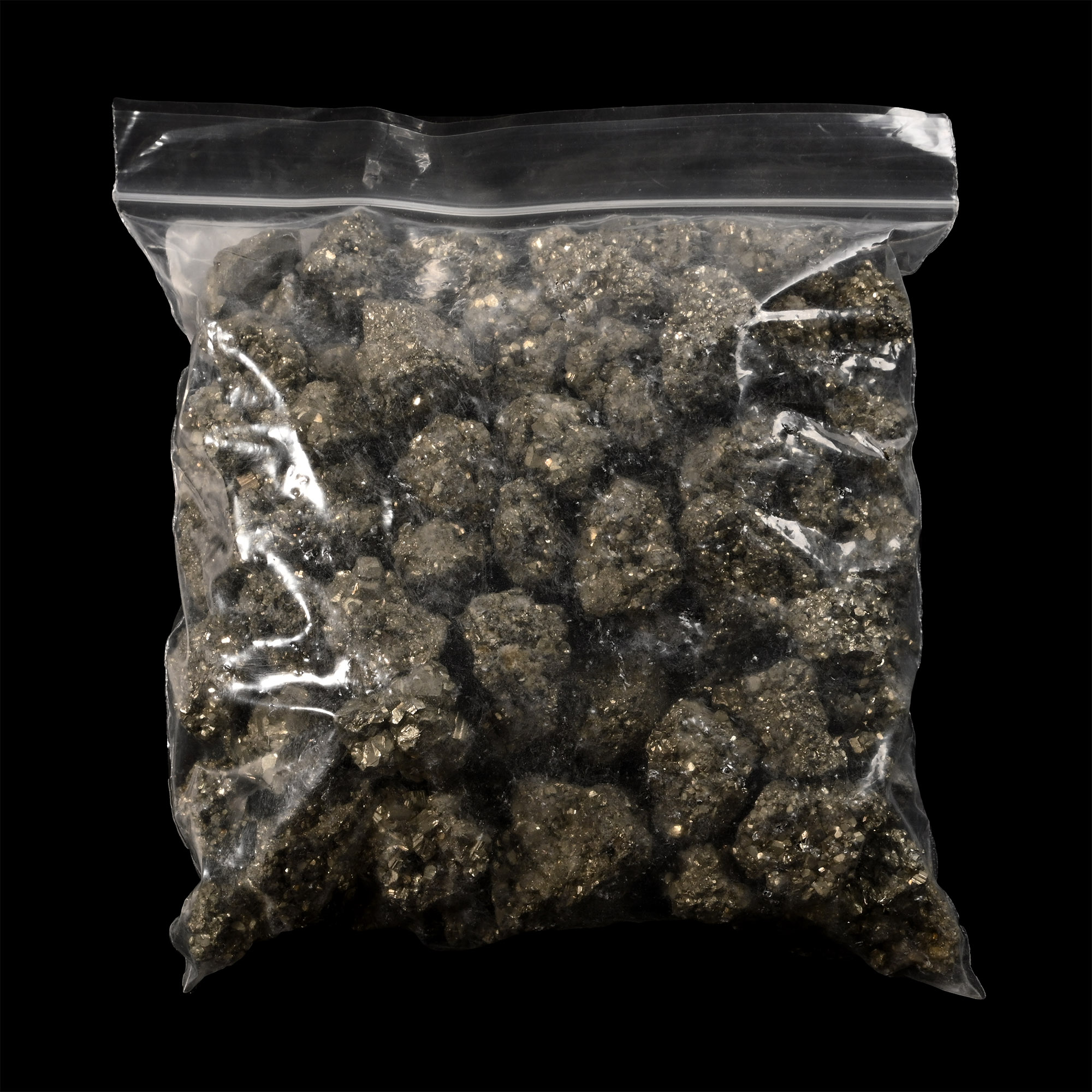Large Group of One Hundred [100] Small Pyrite (Fool's Gold) Specimens