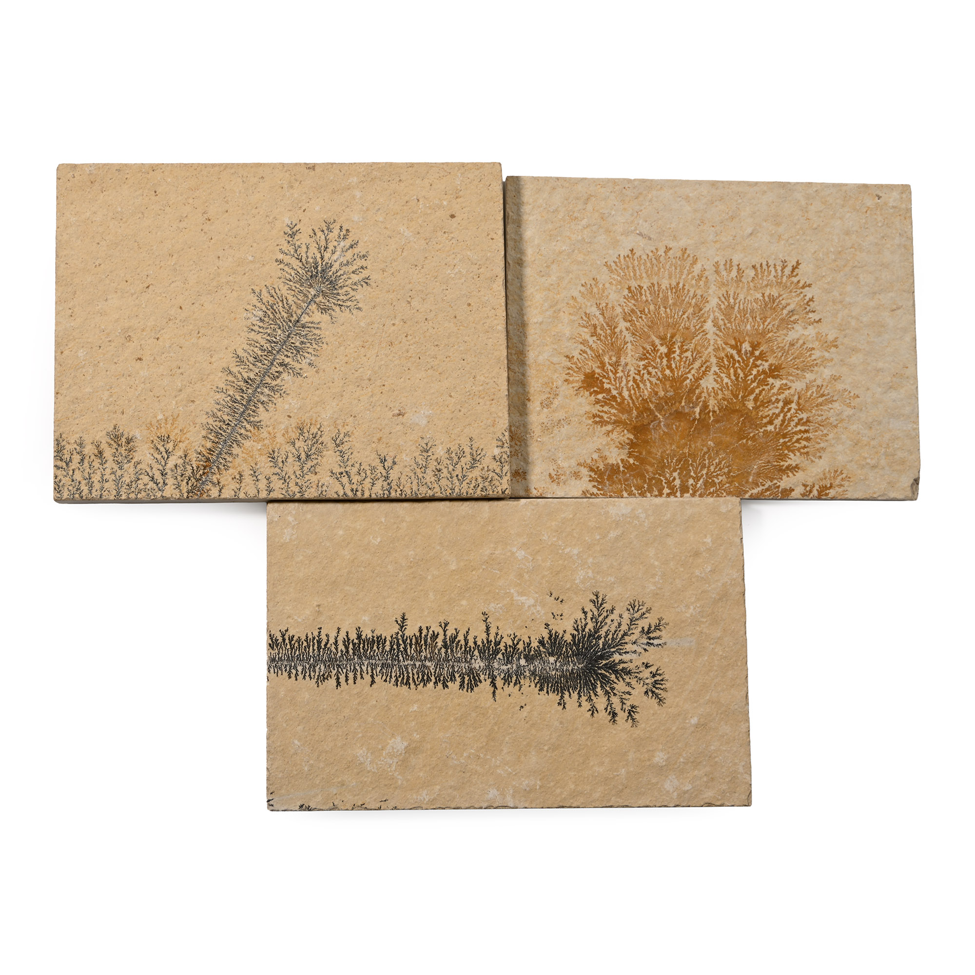 Manganese Dendrite Landscape Plaque Group