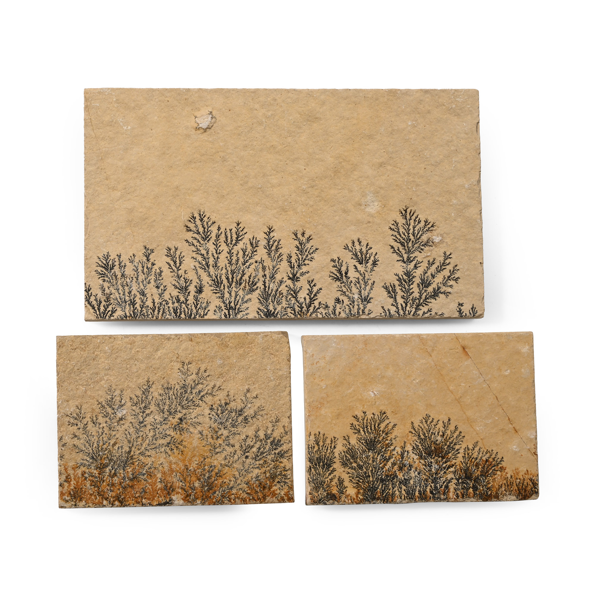 Manganese Dendrite Landscape Plaque Group